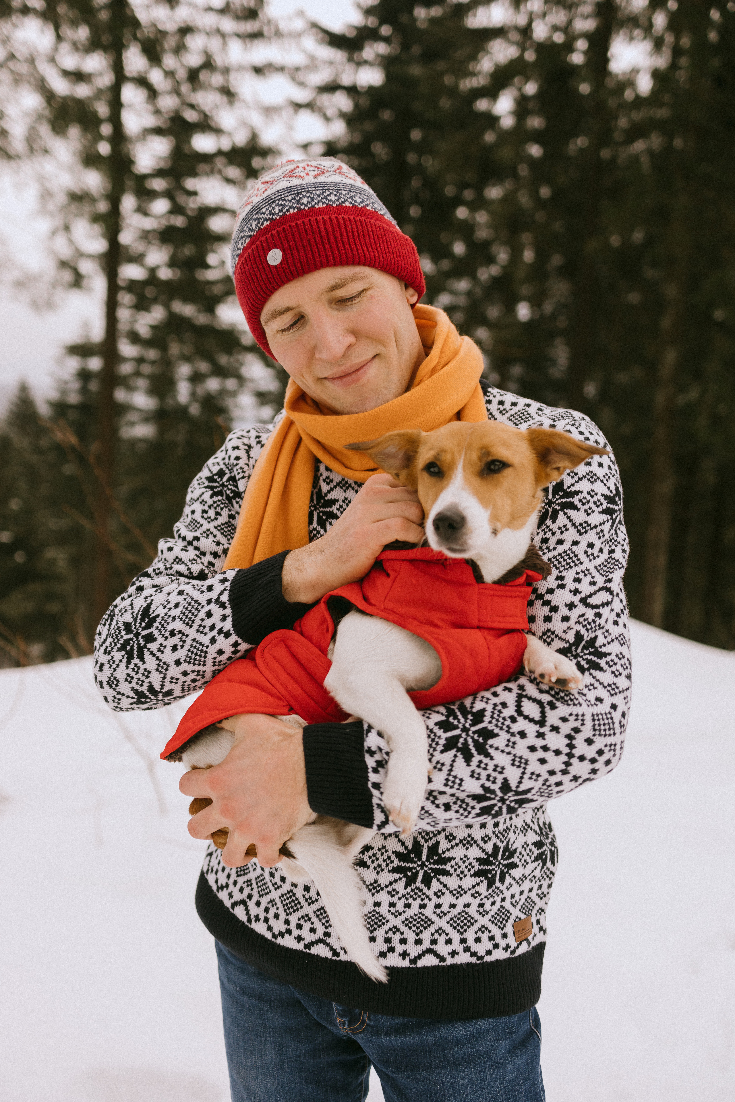 Семейная фотосессия в зимнем лесу. Фотограф в Германии — Мария Чистякова