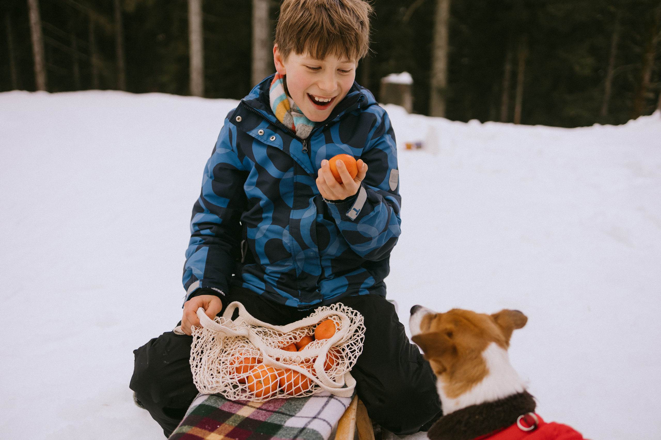 Семейная фотосессия в зимнем лесу. Фотограф в Германии — Мария Чистякова