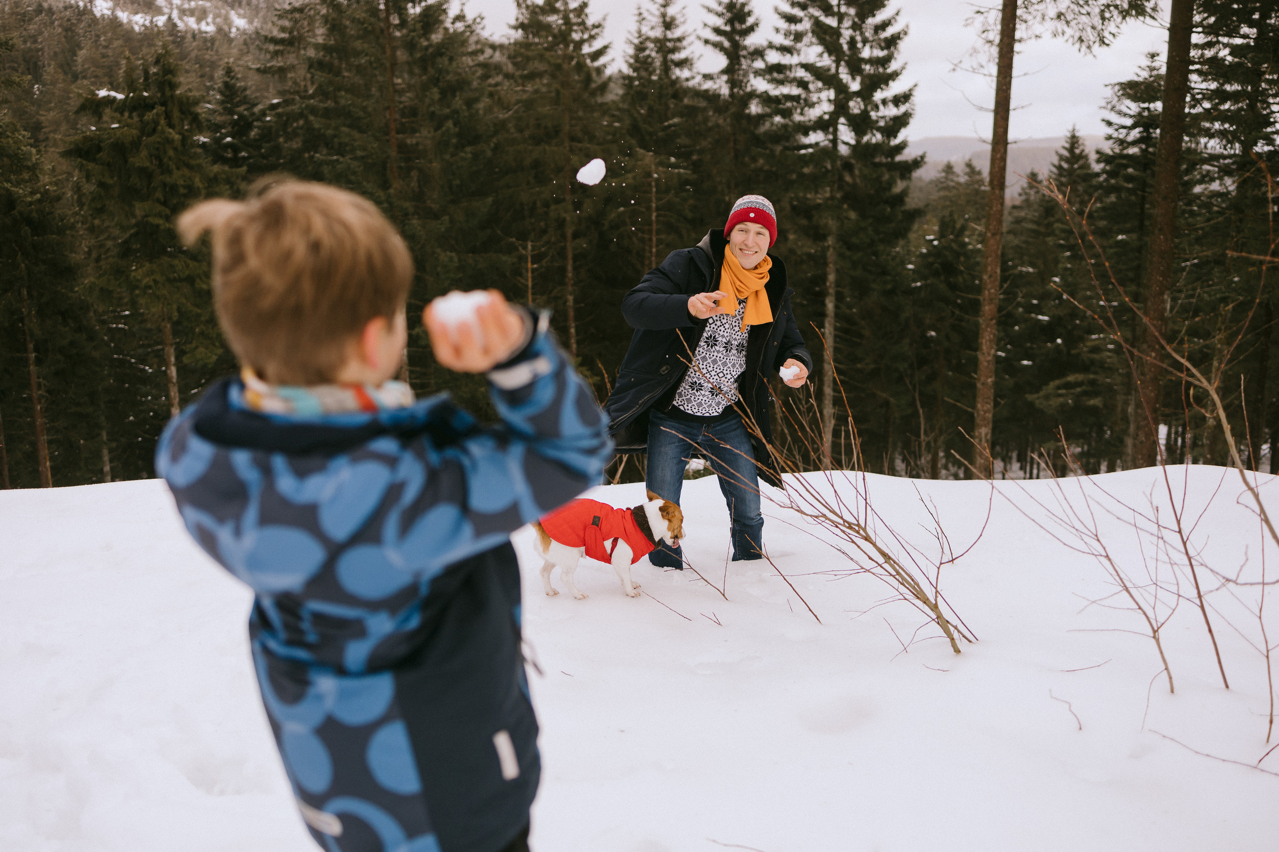 Семейная фотосессия в зимнем лесу. Фотограф в Германии — Мария Чистякова
