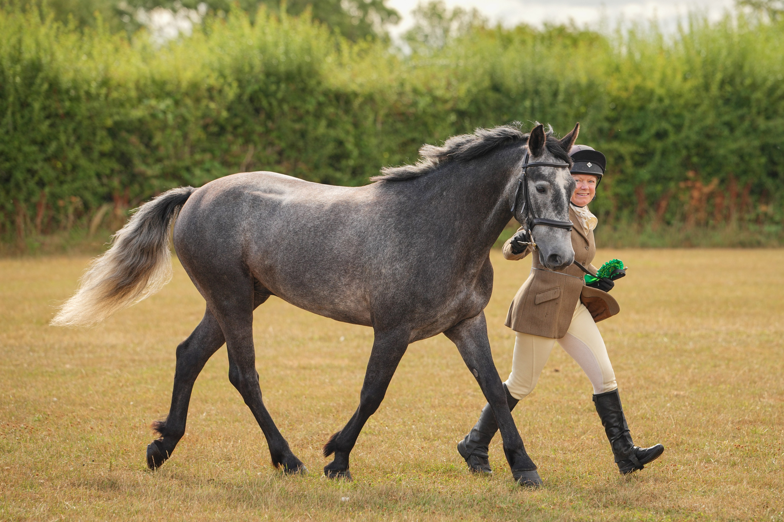 Showing. Leicestershire Equine Photography by El | Authentic Equine Portraits & Events