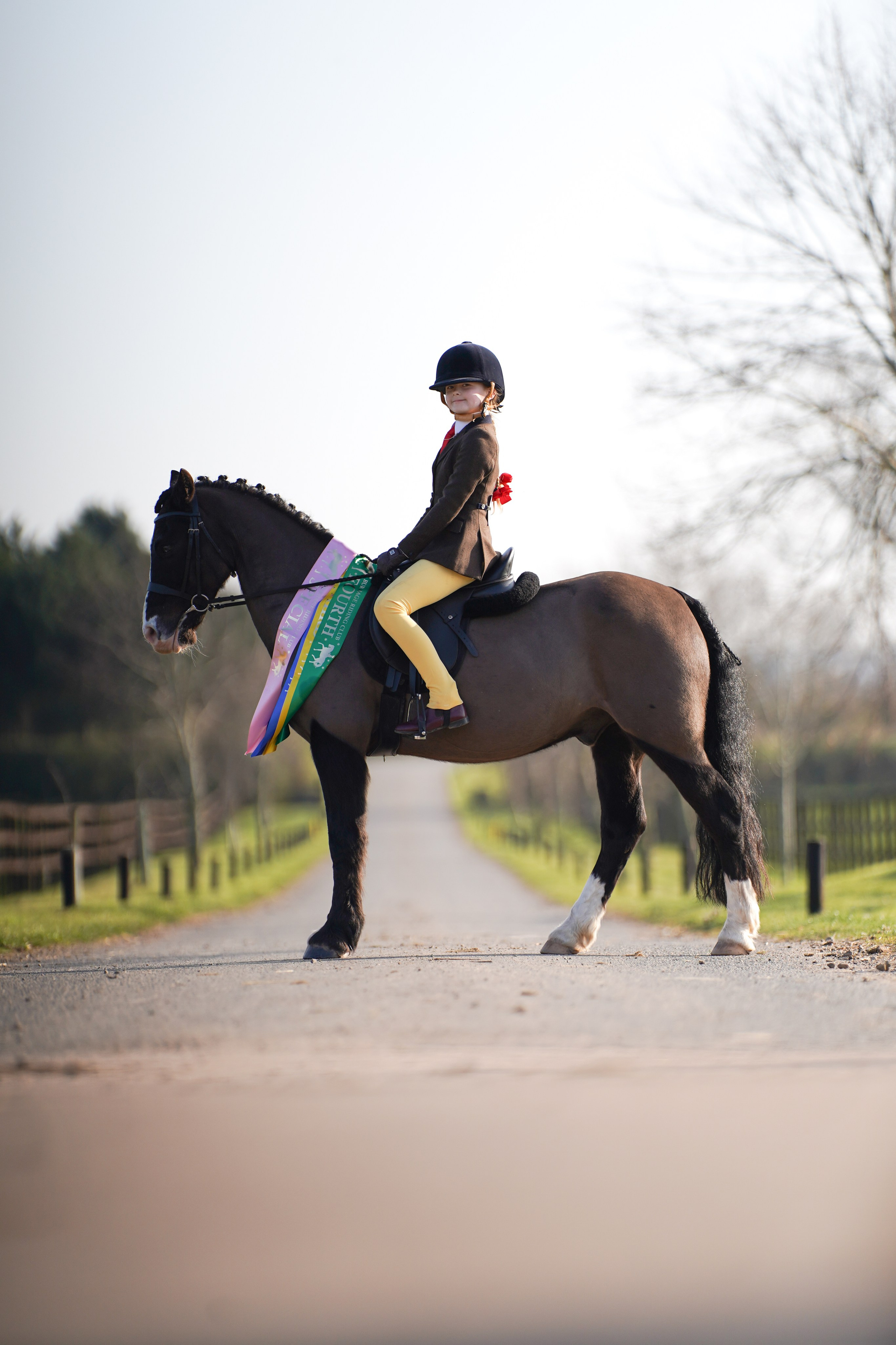 Showing. Leicestershire Equine Photography by El | Authentic Equine Portraits & Events