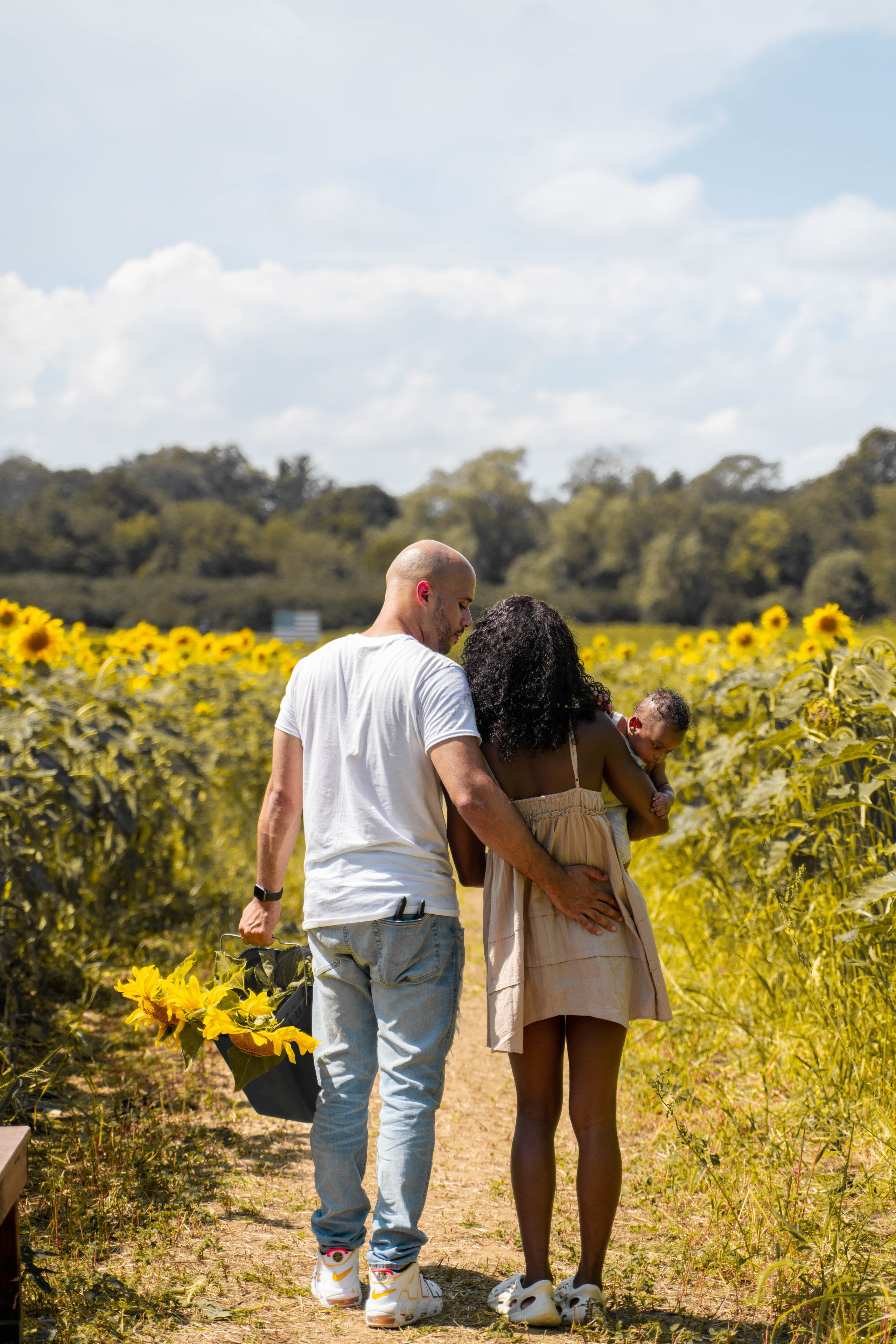 Jennifer and Louis at Sunflowers Farm. Stefanovich Photography | Boston, MA