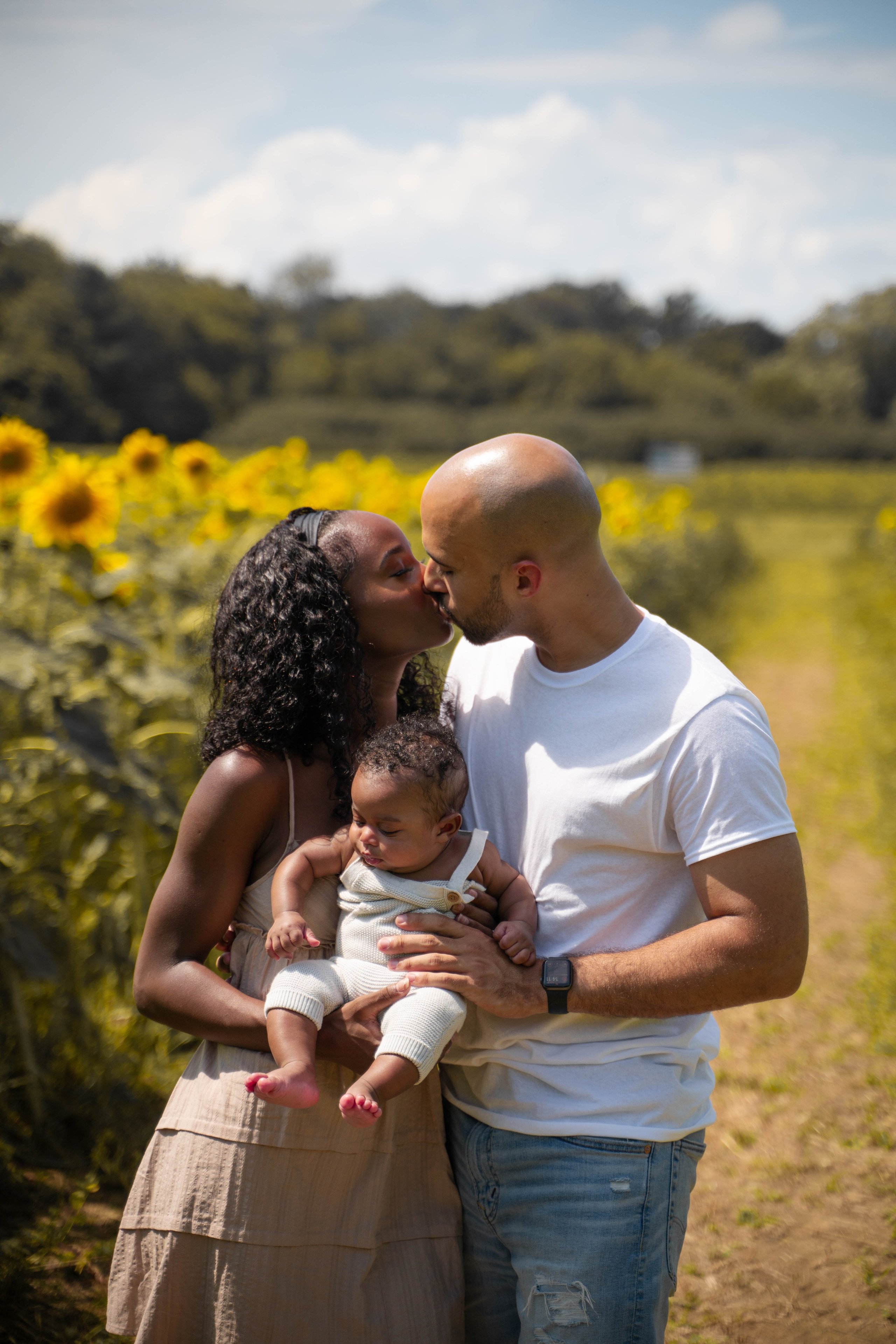 Jennifer and Louis at Sunflowers Farm. Stefanovich Photography | Boston, MA