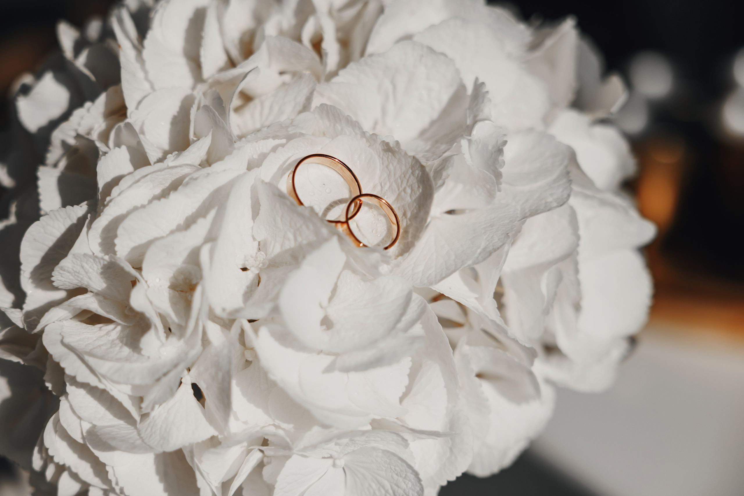 Fotografia ślubna. Anna Rudnichenko Fotograf Szczecin / Анна Рудніченко Фотограф Щецин