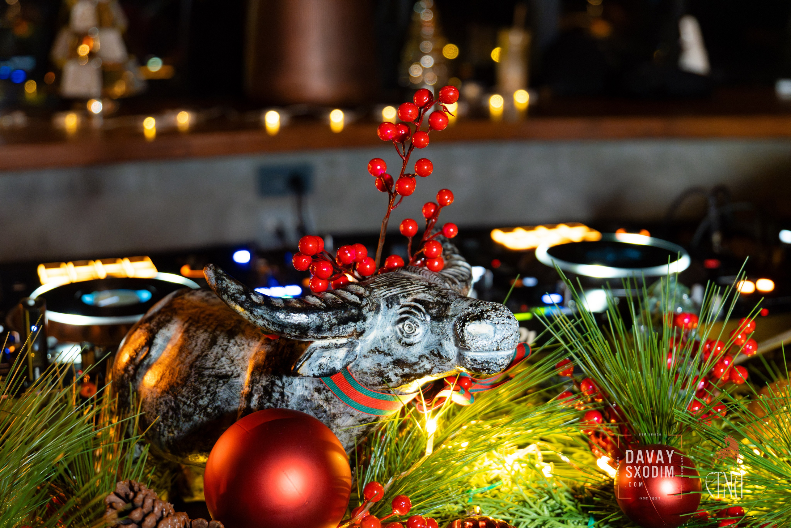 Новогодняя вечеринка | Фоторепортаж | Афиша | DAVAYSXODIM.com PHUKET. АФИША|ФОТОРЕПОРТАЖИ|ИВЕНТЫ|ПХУКЕТ