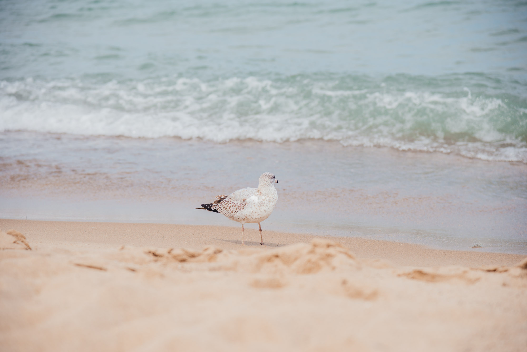 Stefa. Family Lifestyle Photography