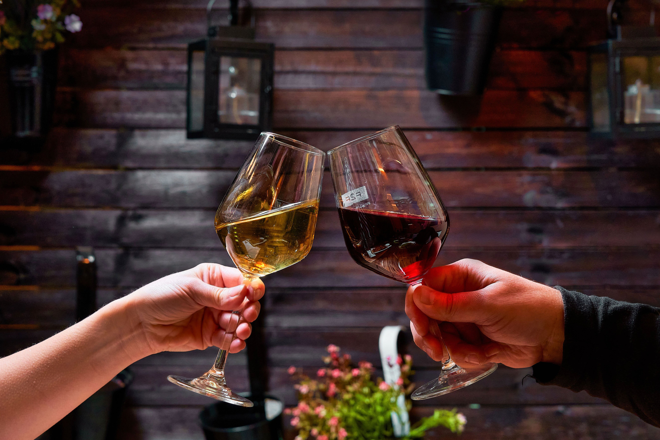 Кулинарна фотография. Фототека