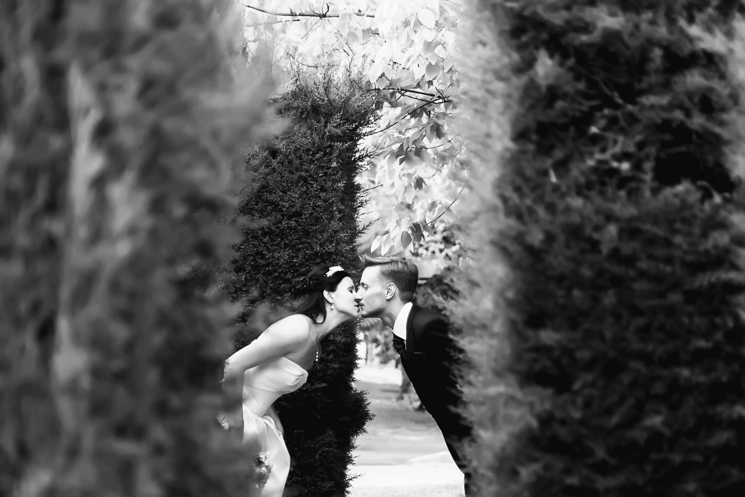 Alesya & Jorje. Destination photographer in Barcelona, Spain, Europe, Worldwide - Andr