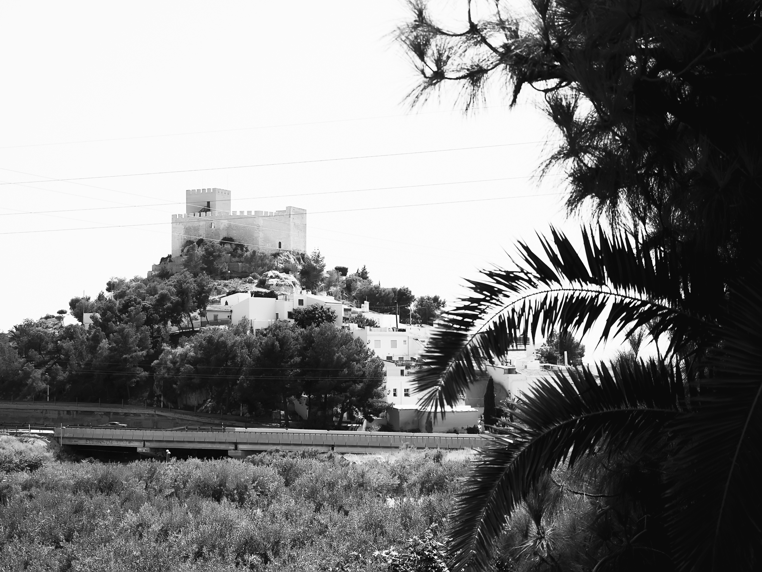 Alesya & Jorje. Destination photographer in Barcelona, Spain, Europe, Worldwide - Andr