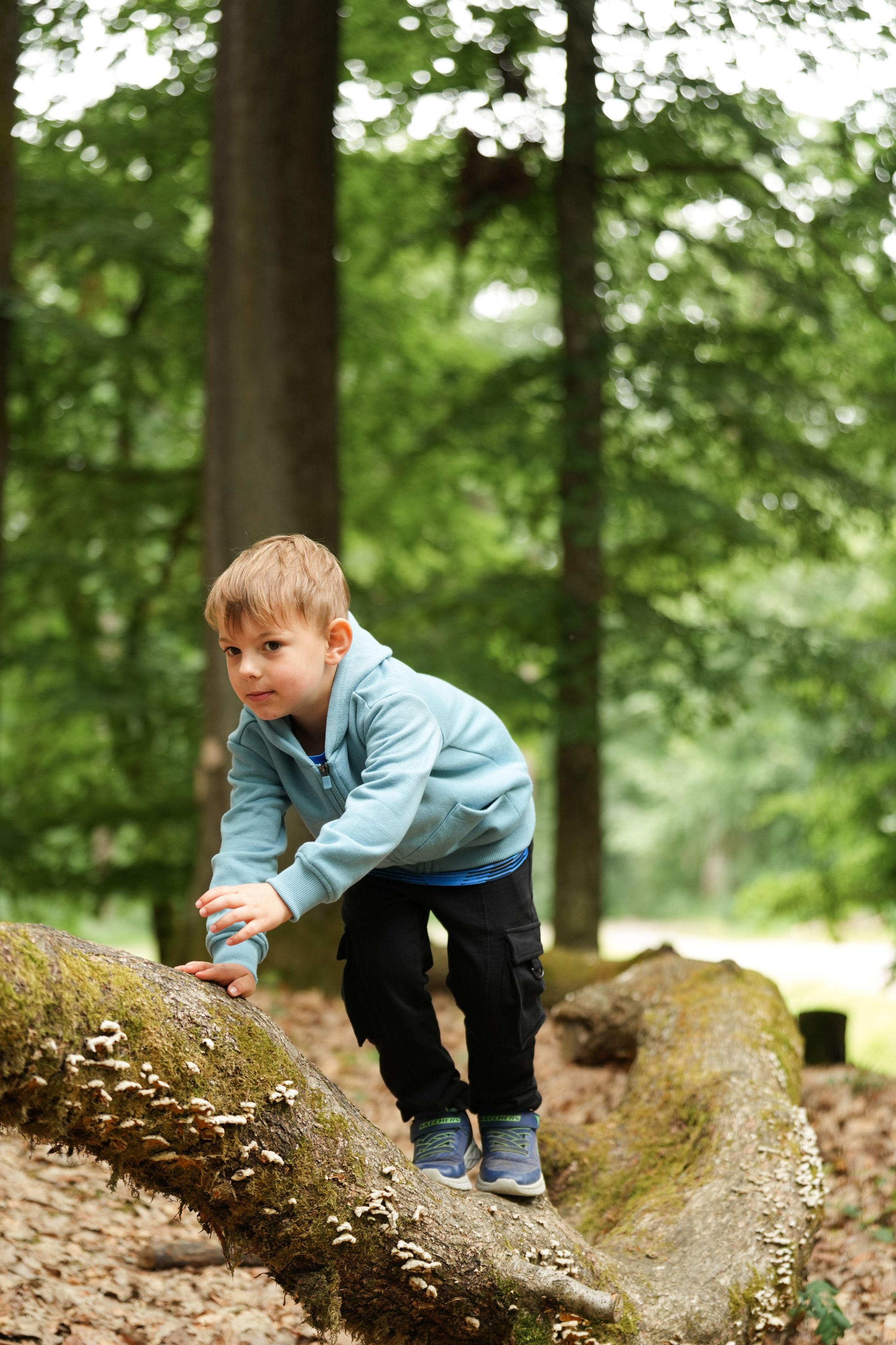 Waldkindergarten. Www.alberti-fotograf.de