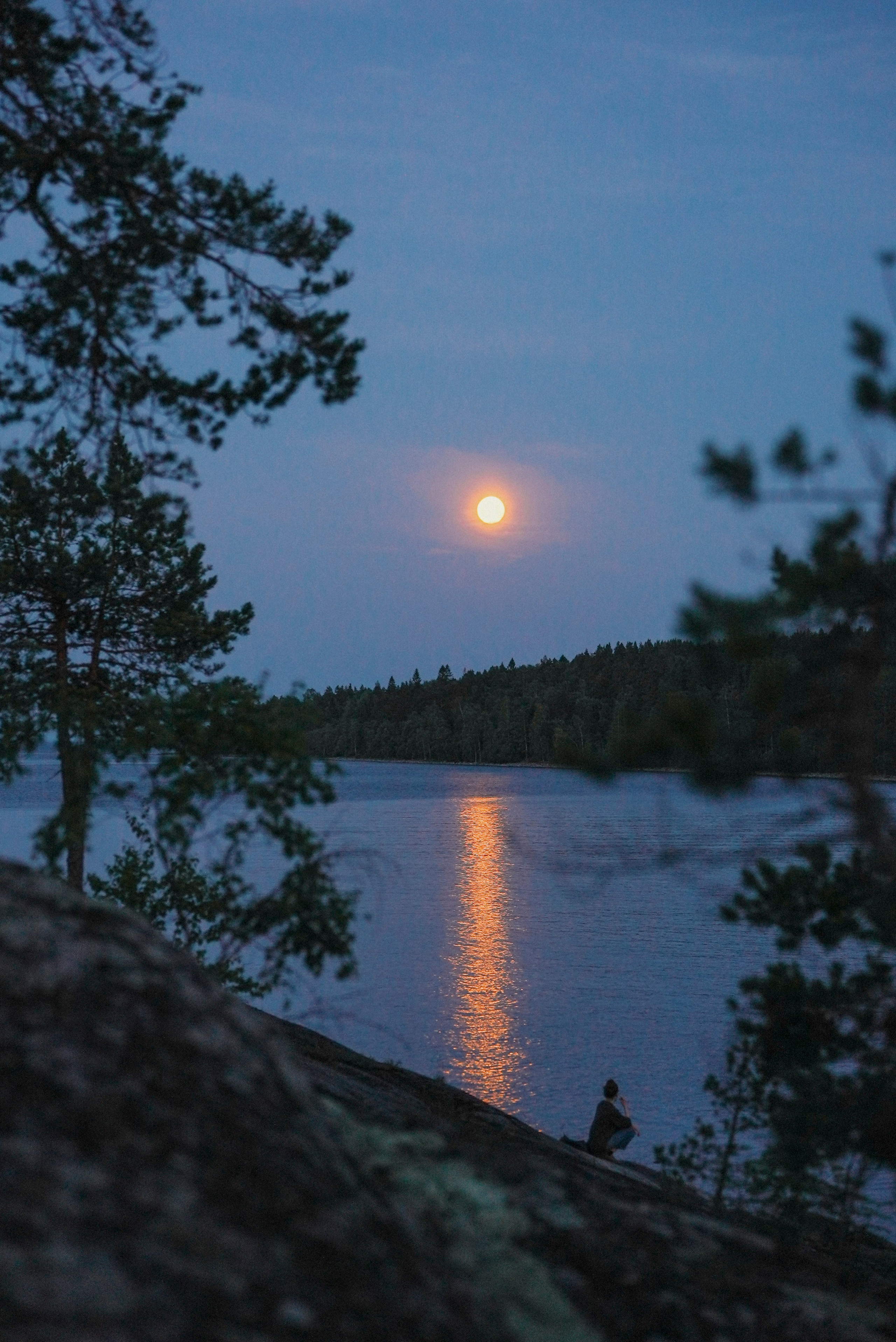 2025. Стрит-фотография, полная абсурда, идиотизма и красоты
