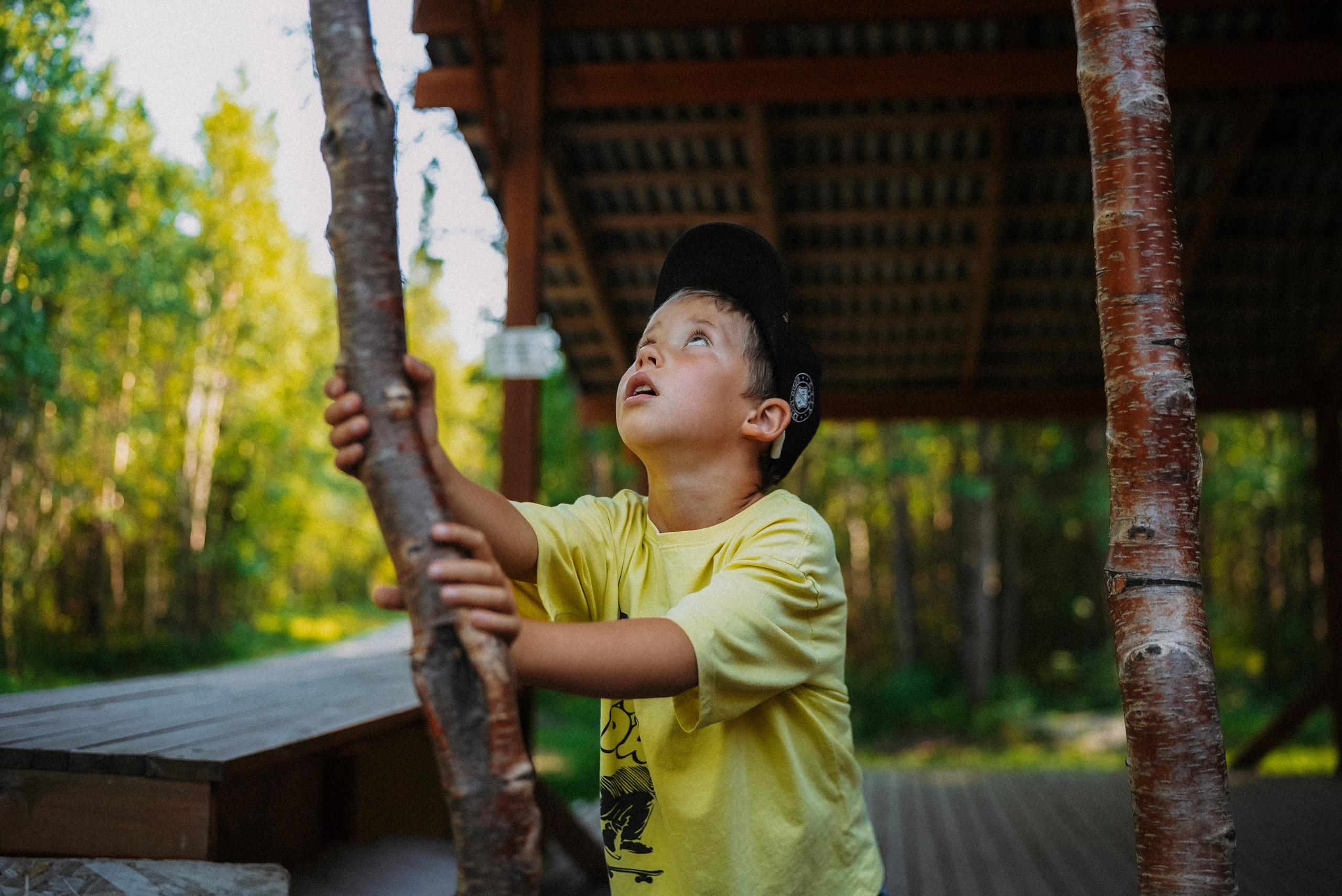 2025. Стрит-фотография, полная абсурда, идиотизма и красоты