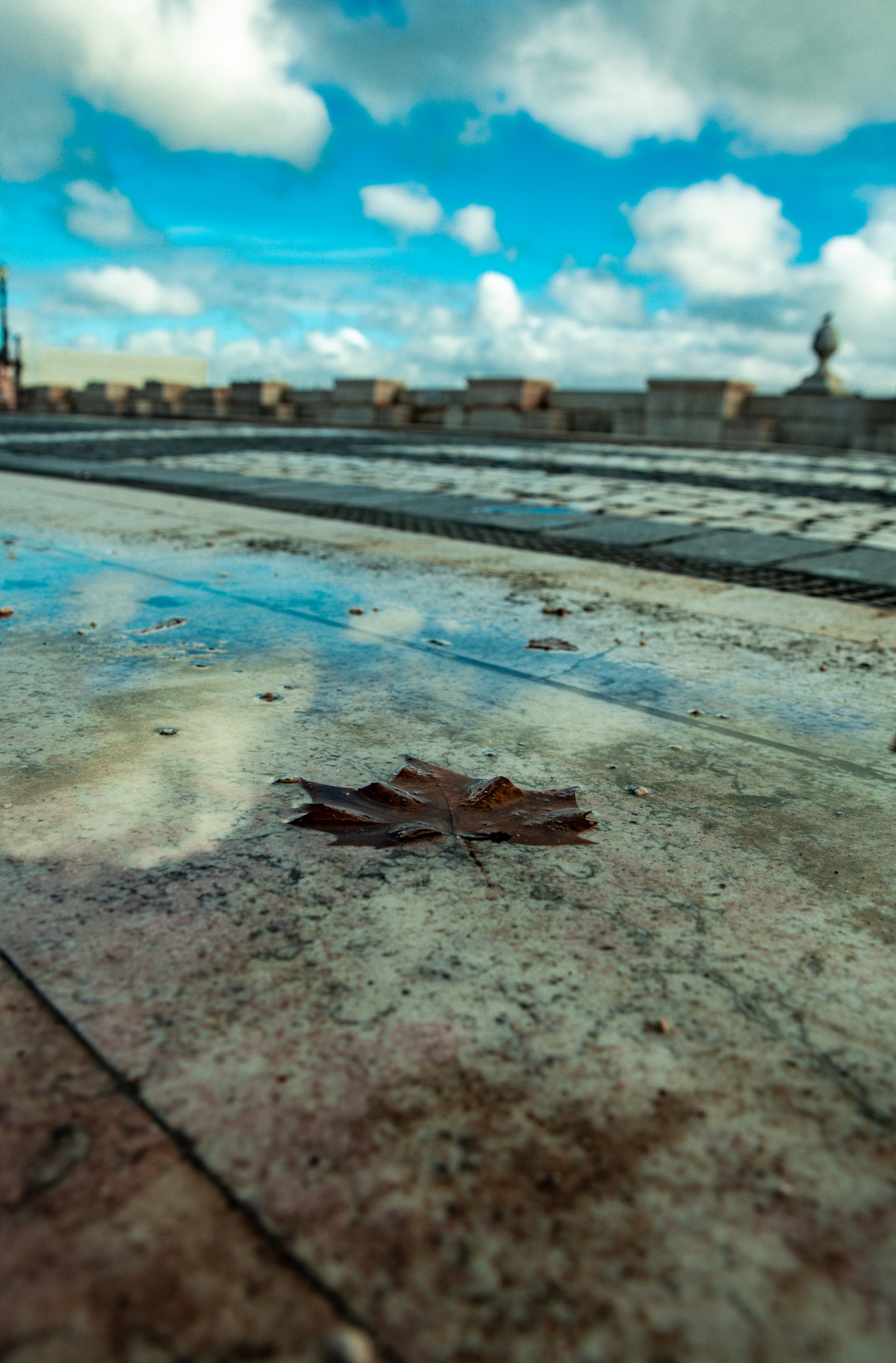 Paisagens. Thiago Chinellato