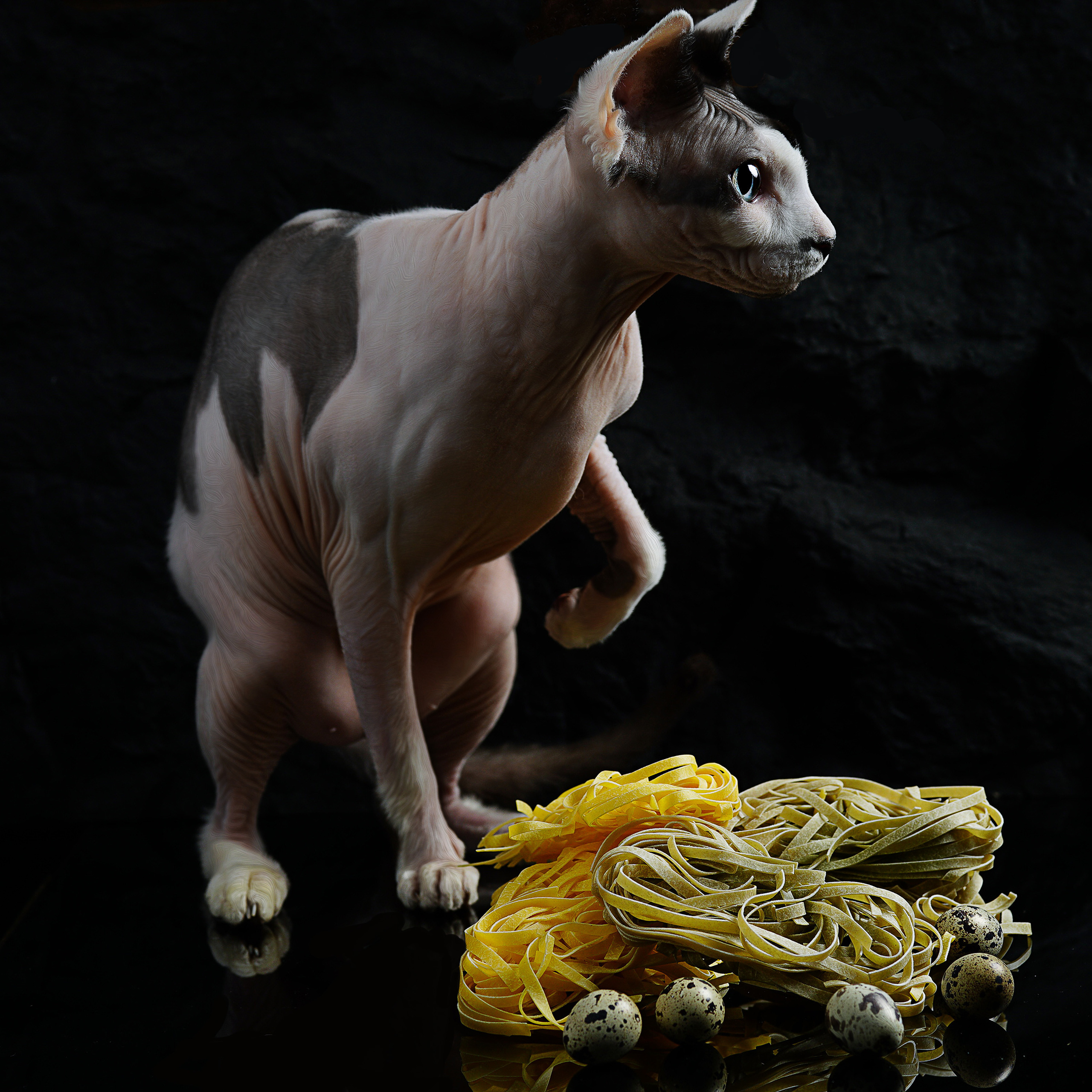 35AWARDS STILL LIFE WITH ANIMALS. LUKIN IGOR Photography