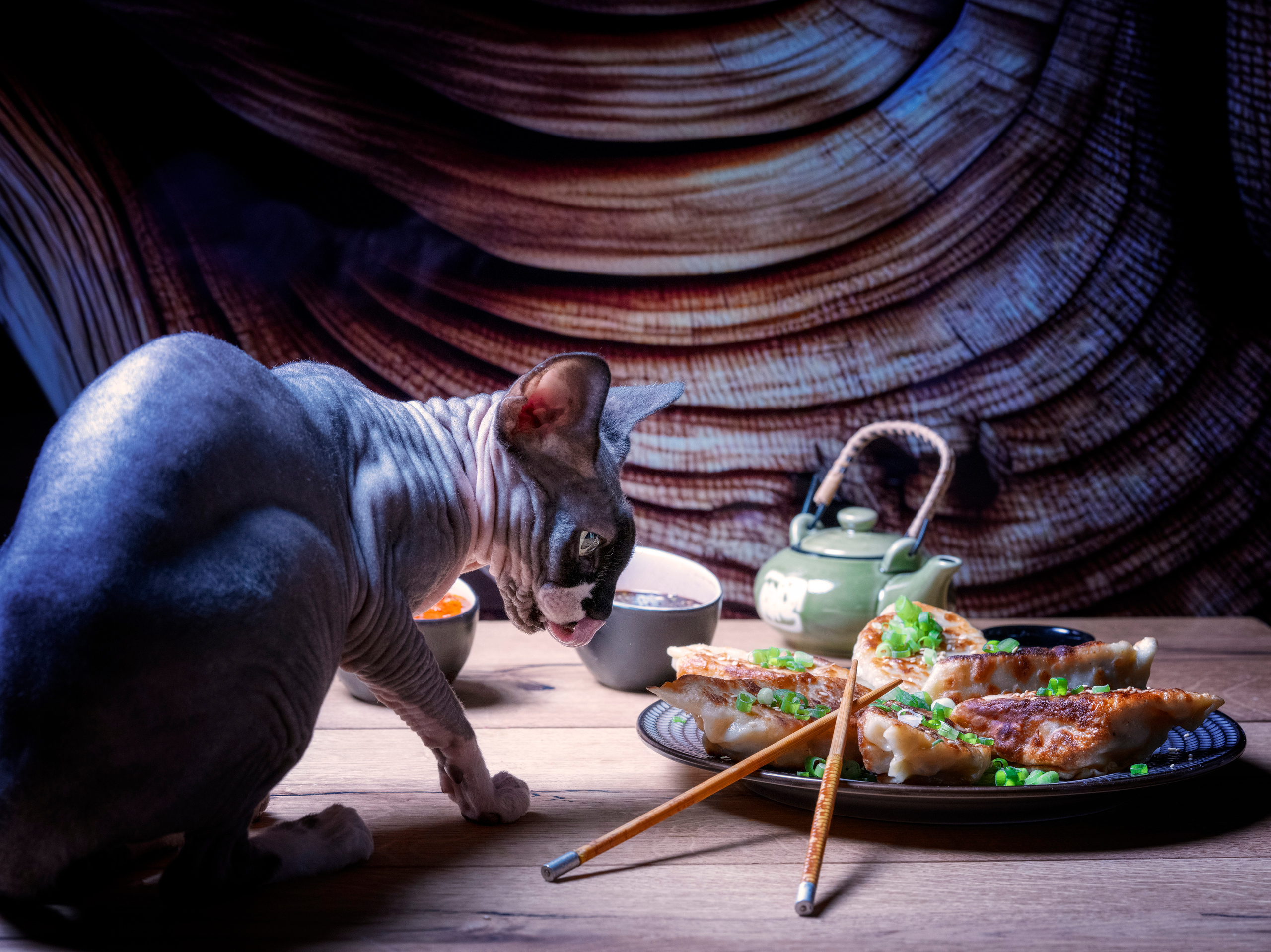 35AWARDS STILL LIFE WITH ANIMALS. LUKIN IGOR Photography