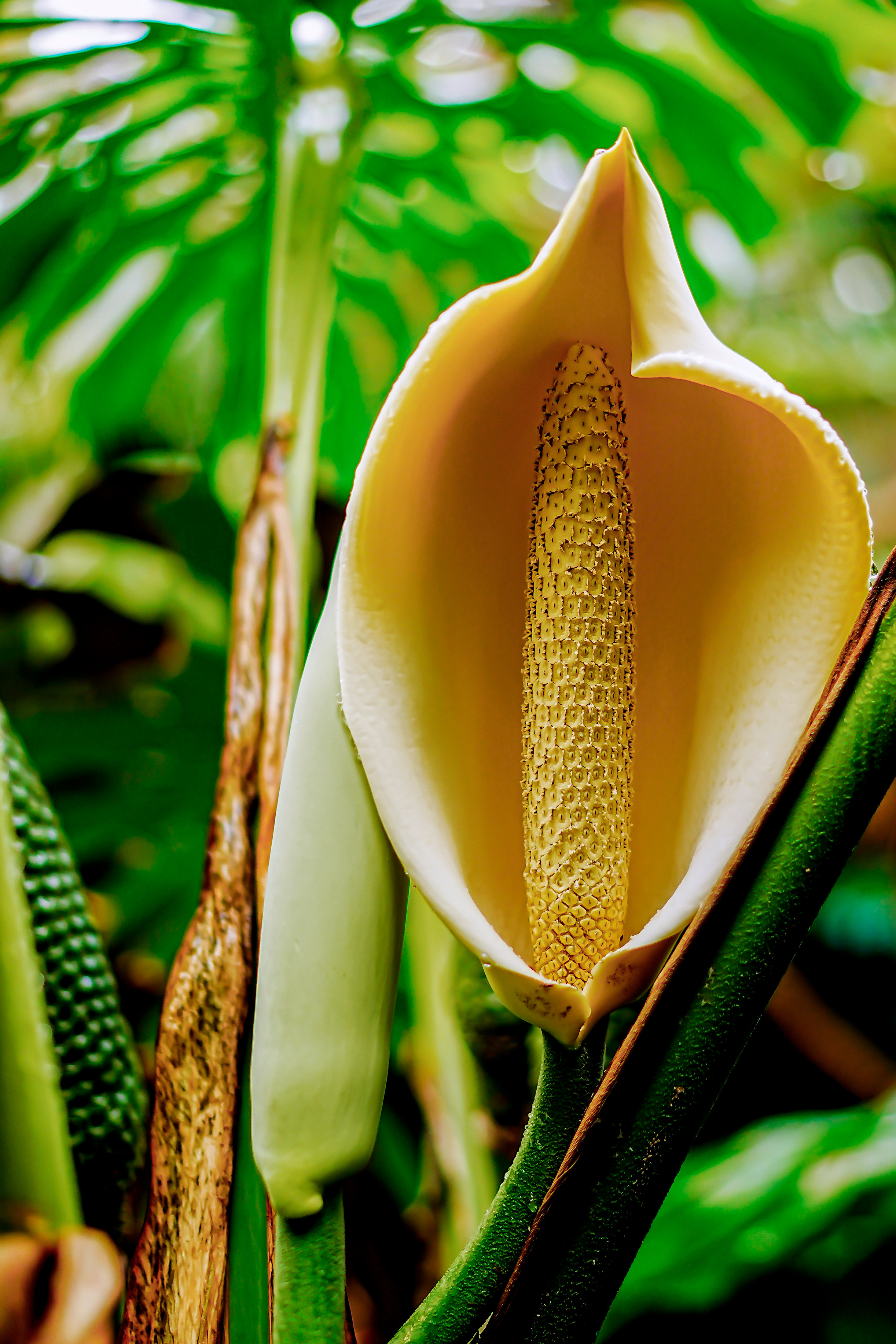 Mallorca Portocolom. LUKIN IGOR Photography
