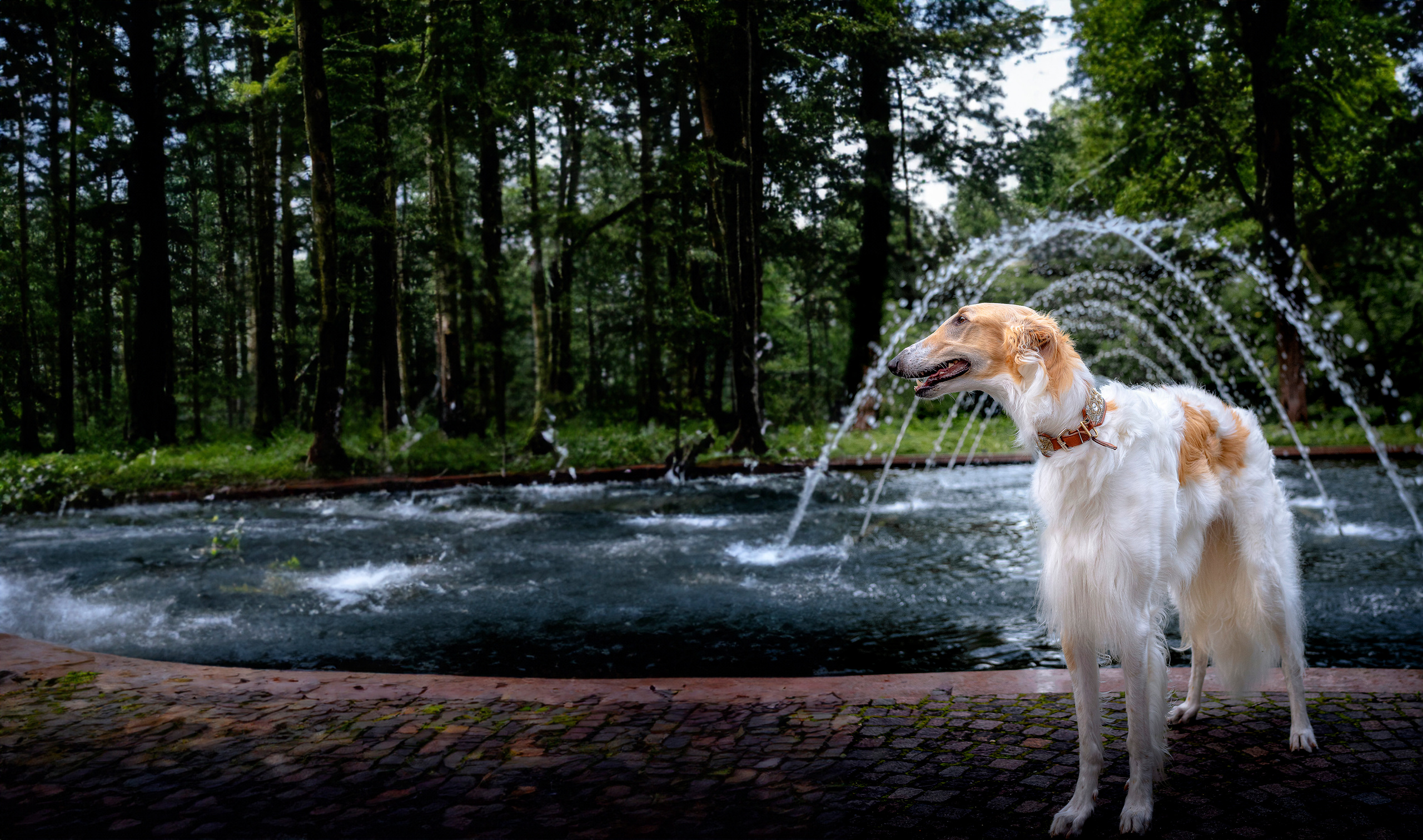 Алексей и Амур. LUKIN IGOR Photography