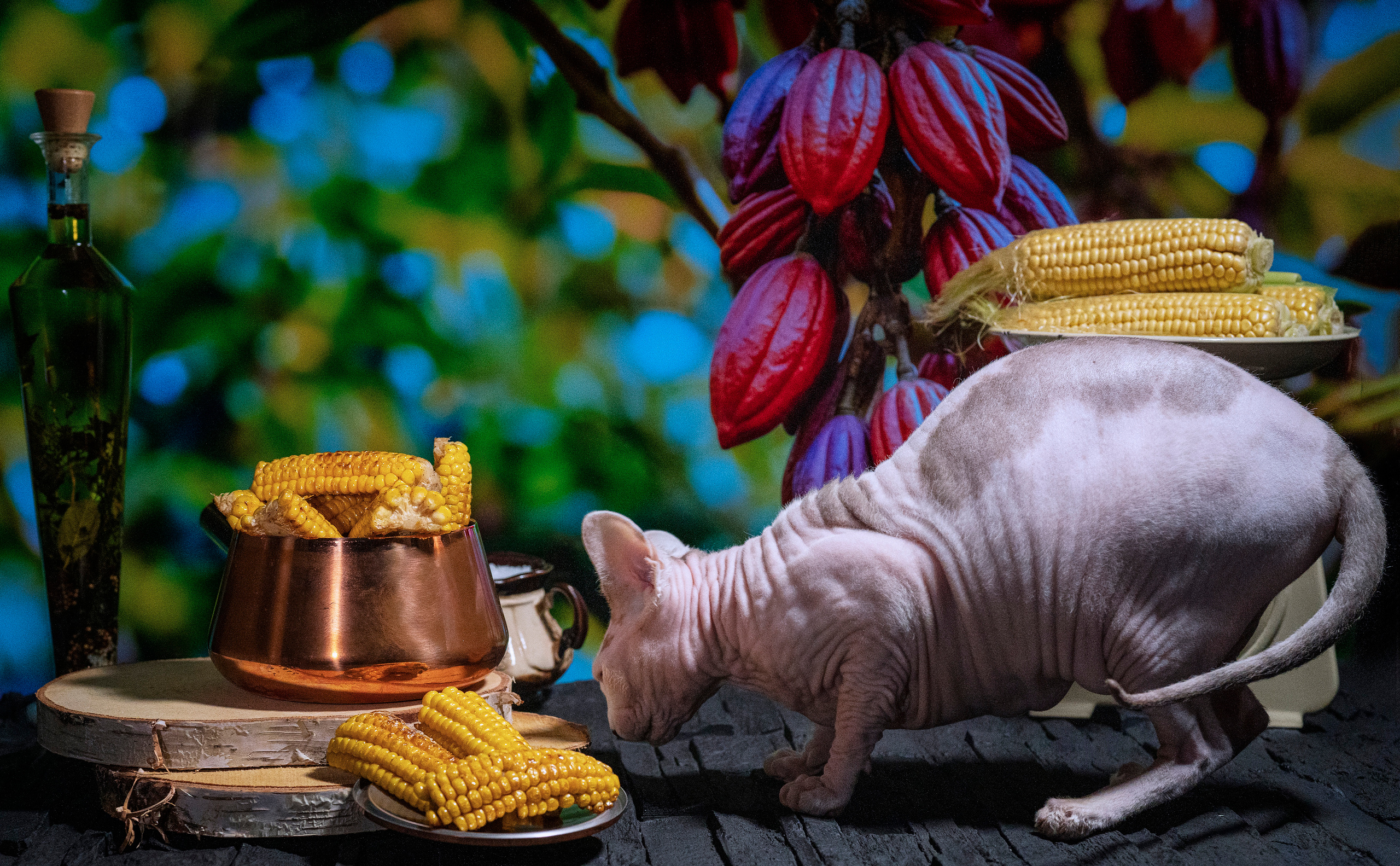 Food Fotografie. LUKIN IGOR Photography