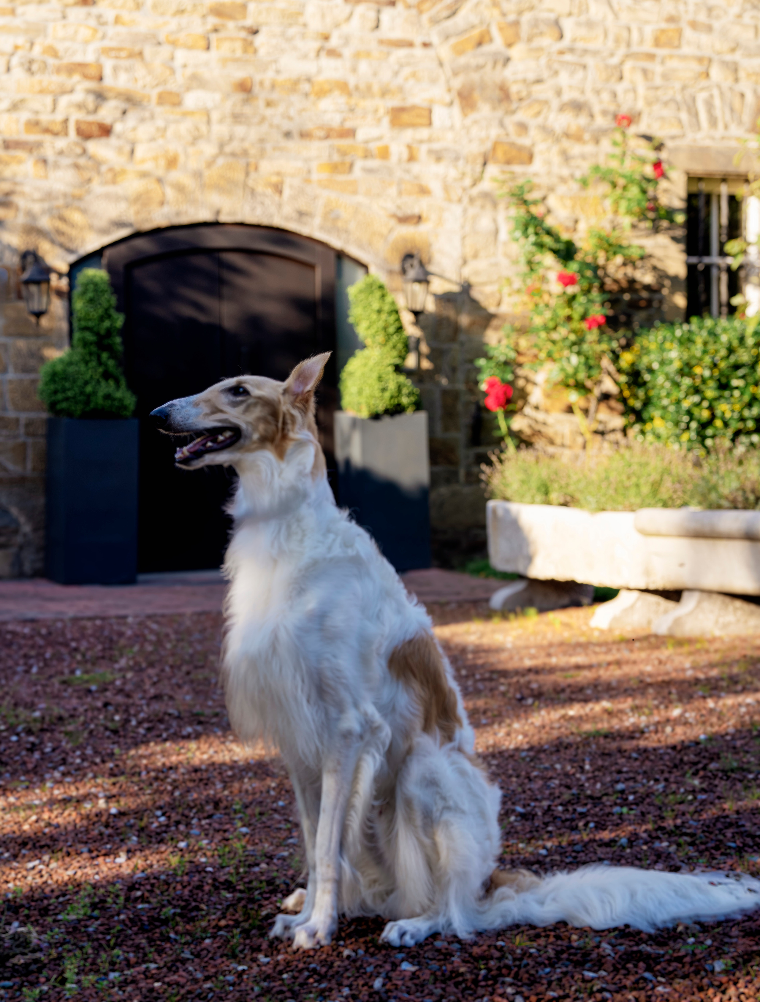 Алексей и Амур. LUKIN IGOR Photography