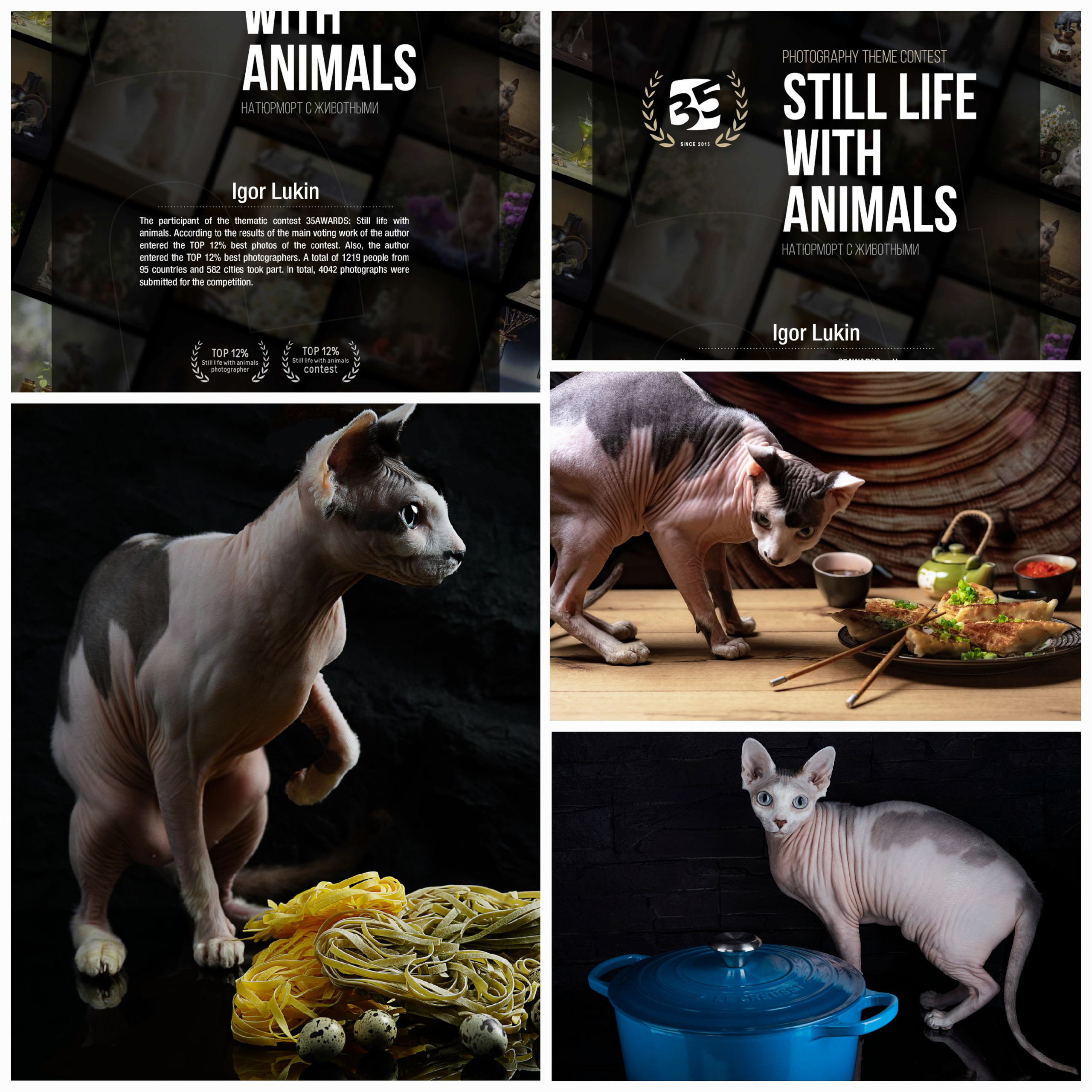 35AWARDS STILL LIFE WITH ANIMALS. LUKIN IGOR Photography