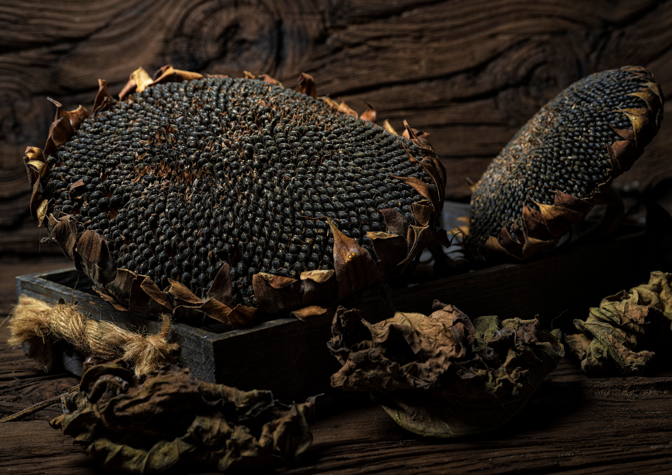 Food Fotografie. LUKIN IGOR Photography