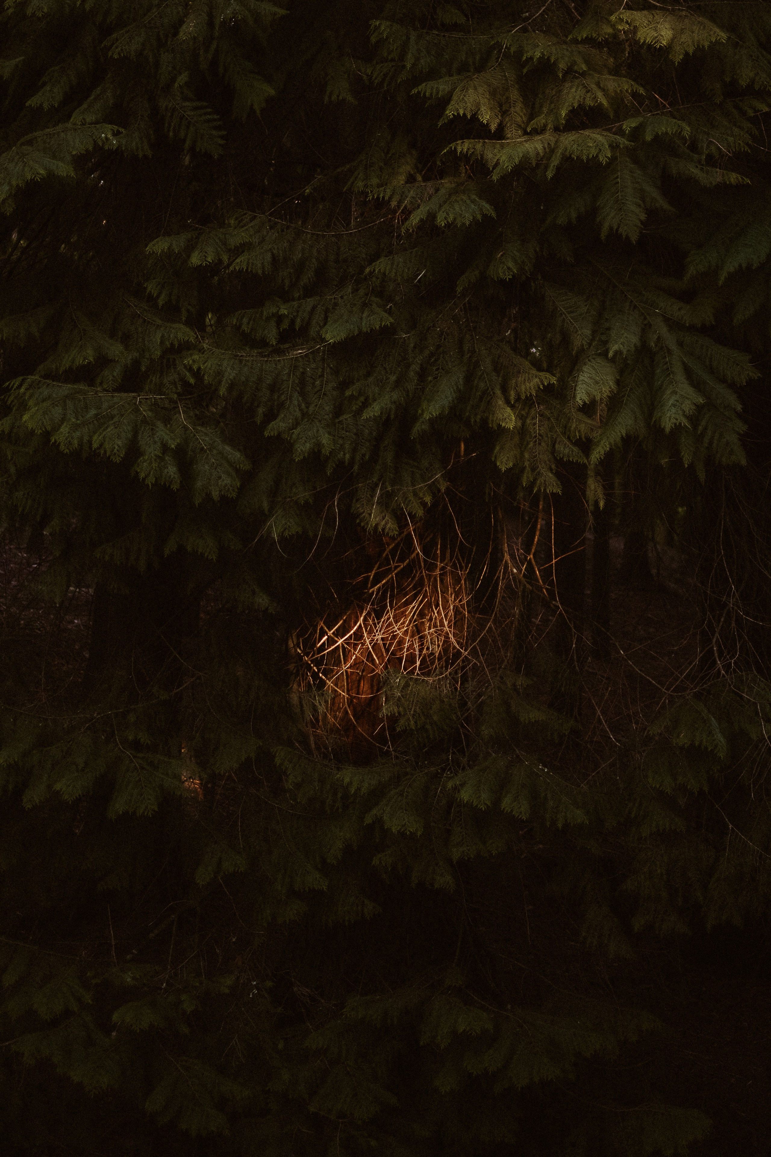 The woman who goes under — Elsa | Intimate Photography