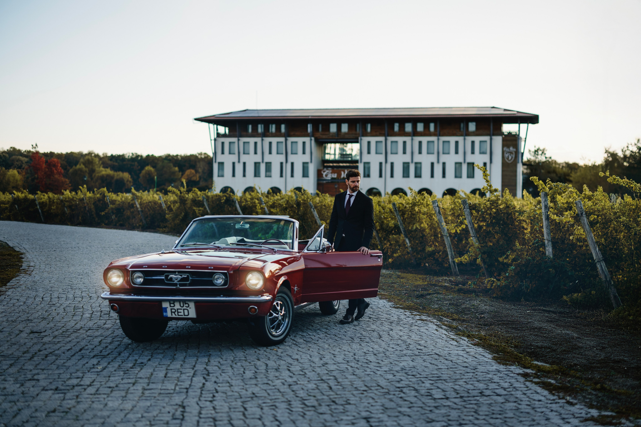 Mihai & Denisa. Romeo Dimache — Wedding photographer in Romania