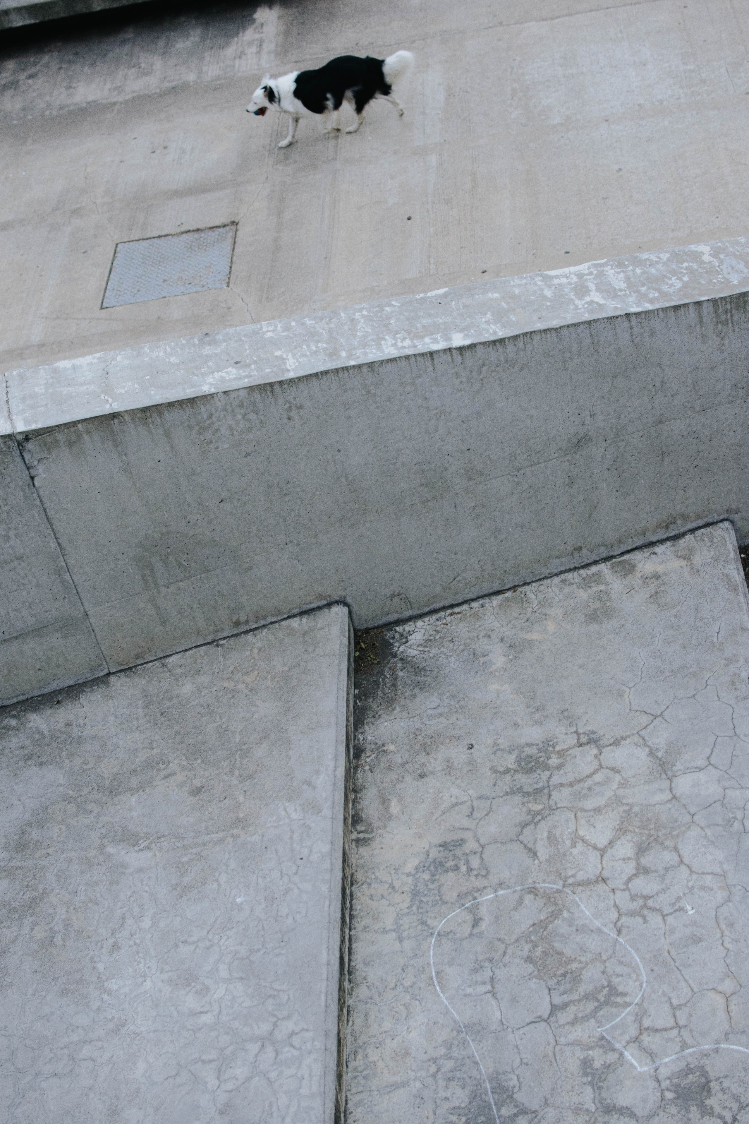 Docdocdoc. Self-portrait. Photographer @elmirkami in the city of Buenos Aires