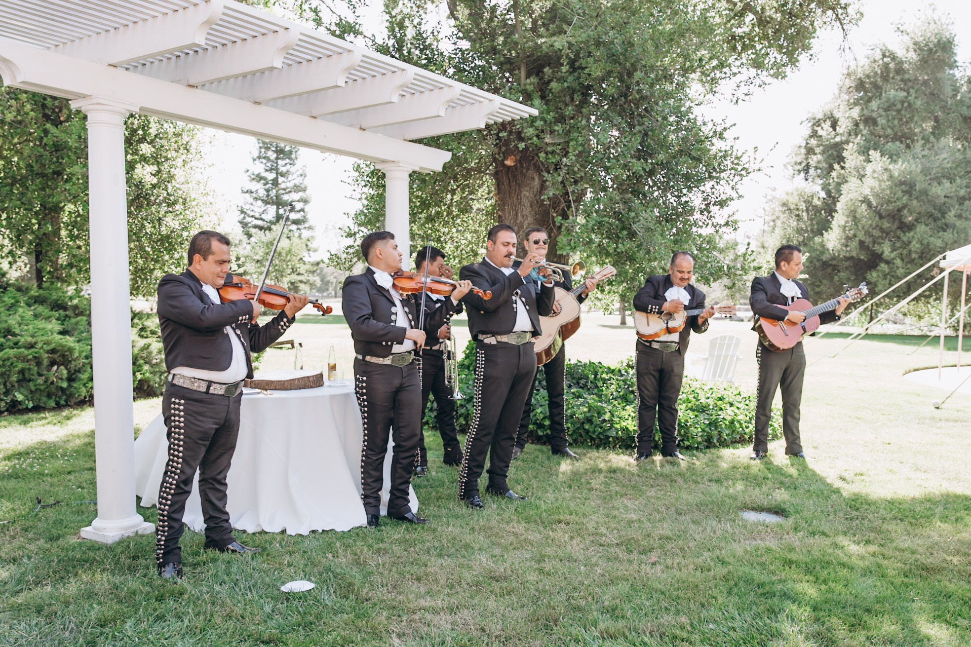 Wedding M&R. Семейный и детский лайфстаил фотограф Елена Туманова