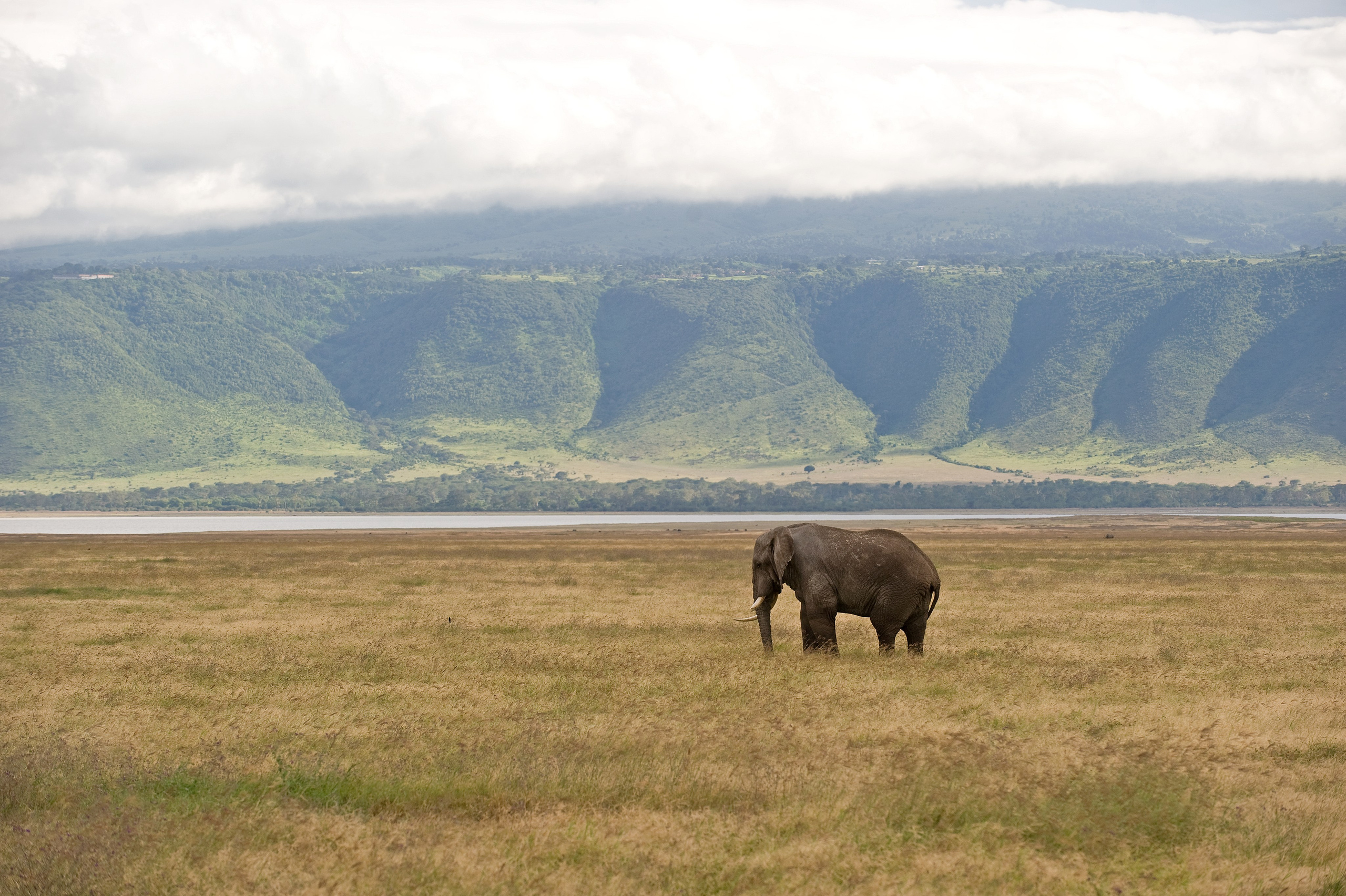 ТРЕВЕЛ. Фотограф и преподаватель фотографии в Белграде