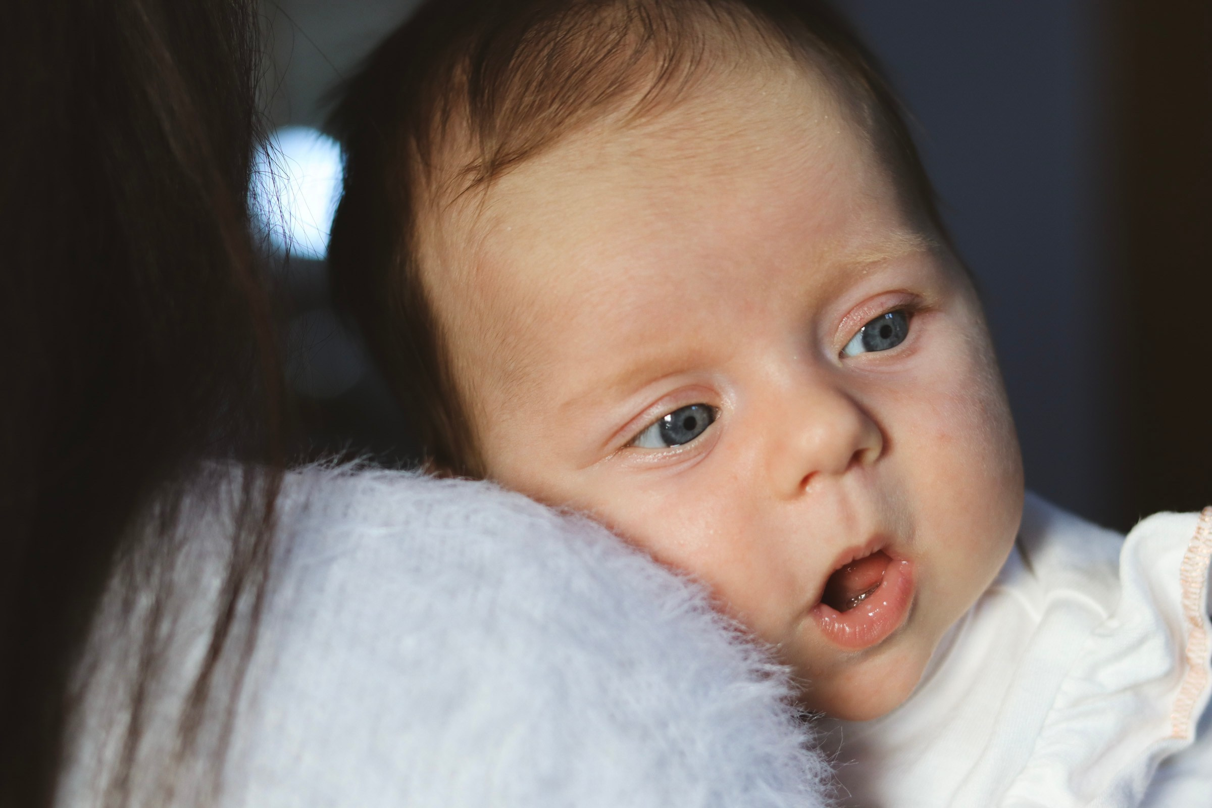 Without leaving home. Photographer Margarita Antonova in Naas, Co Kildare