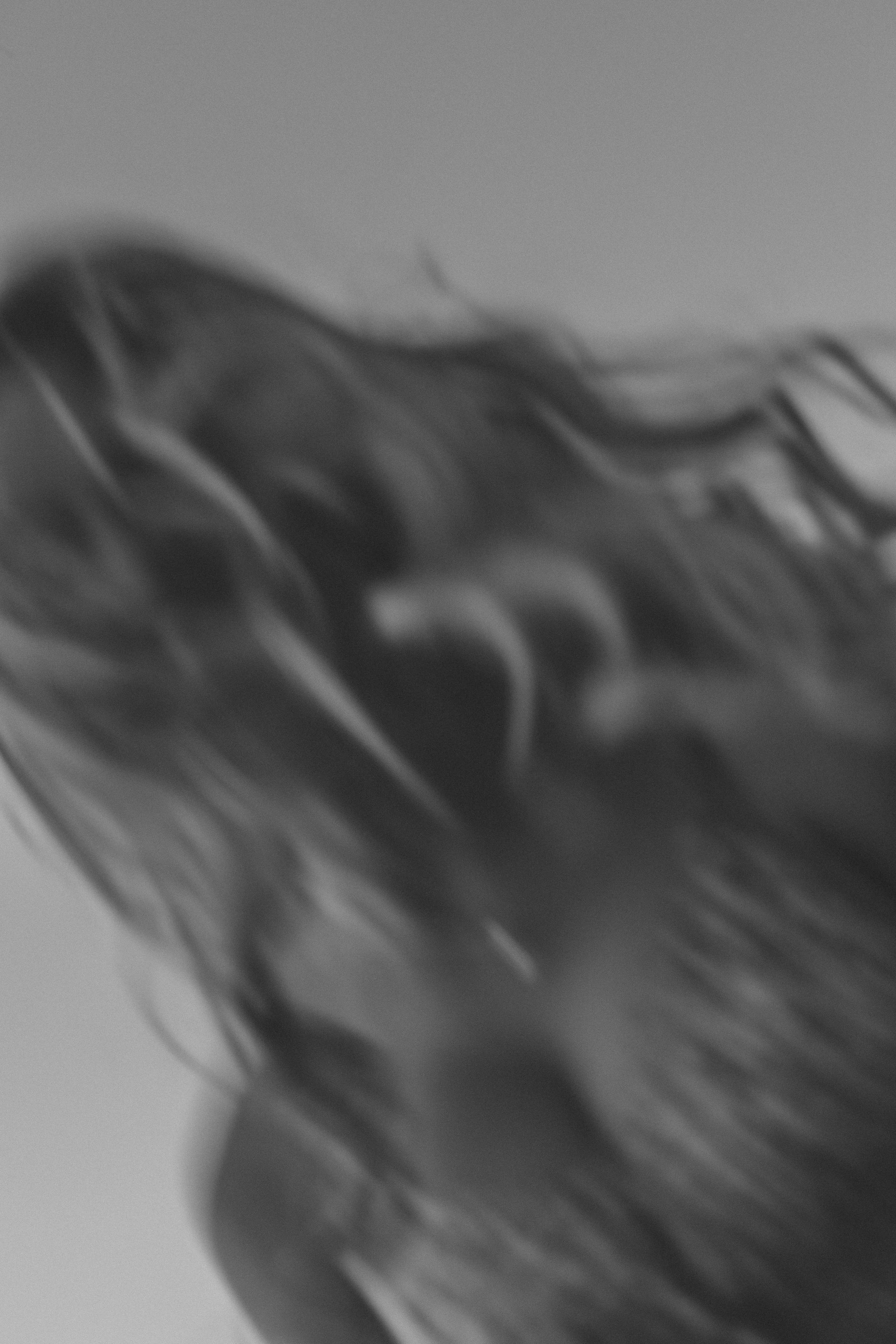 Фотосесия в полето. Фотограф Ирина Йотова