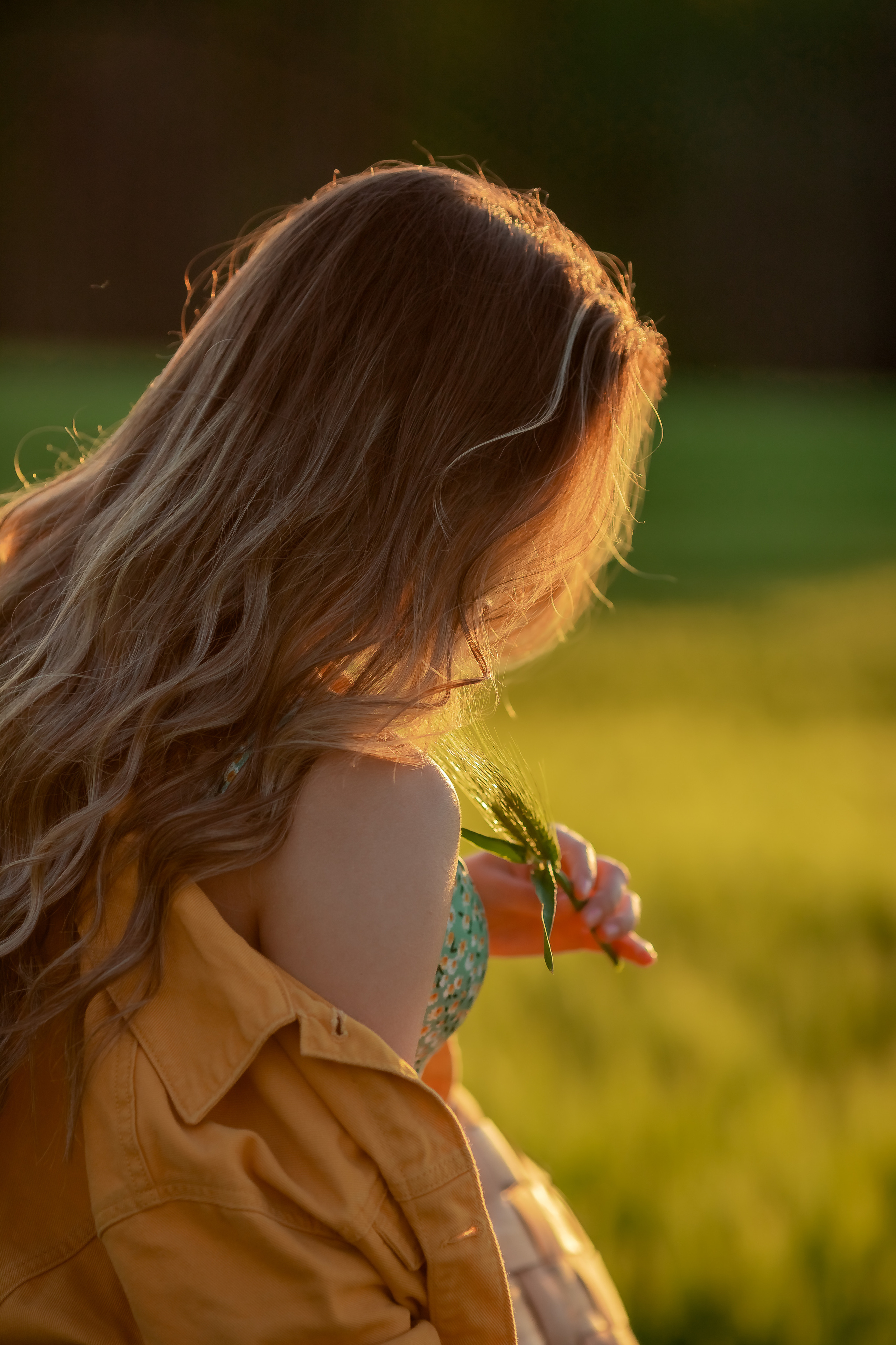 Фотосесия в полето. Фотограф Ирина Йотова