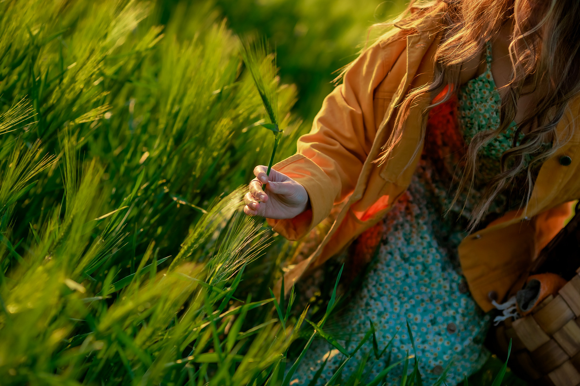 Фотосесия в полето. Фотограф Ирина Йотова