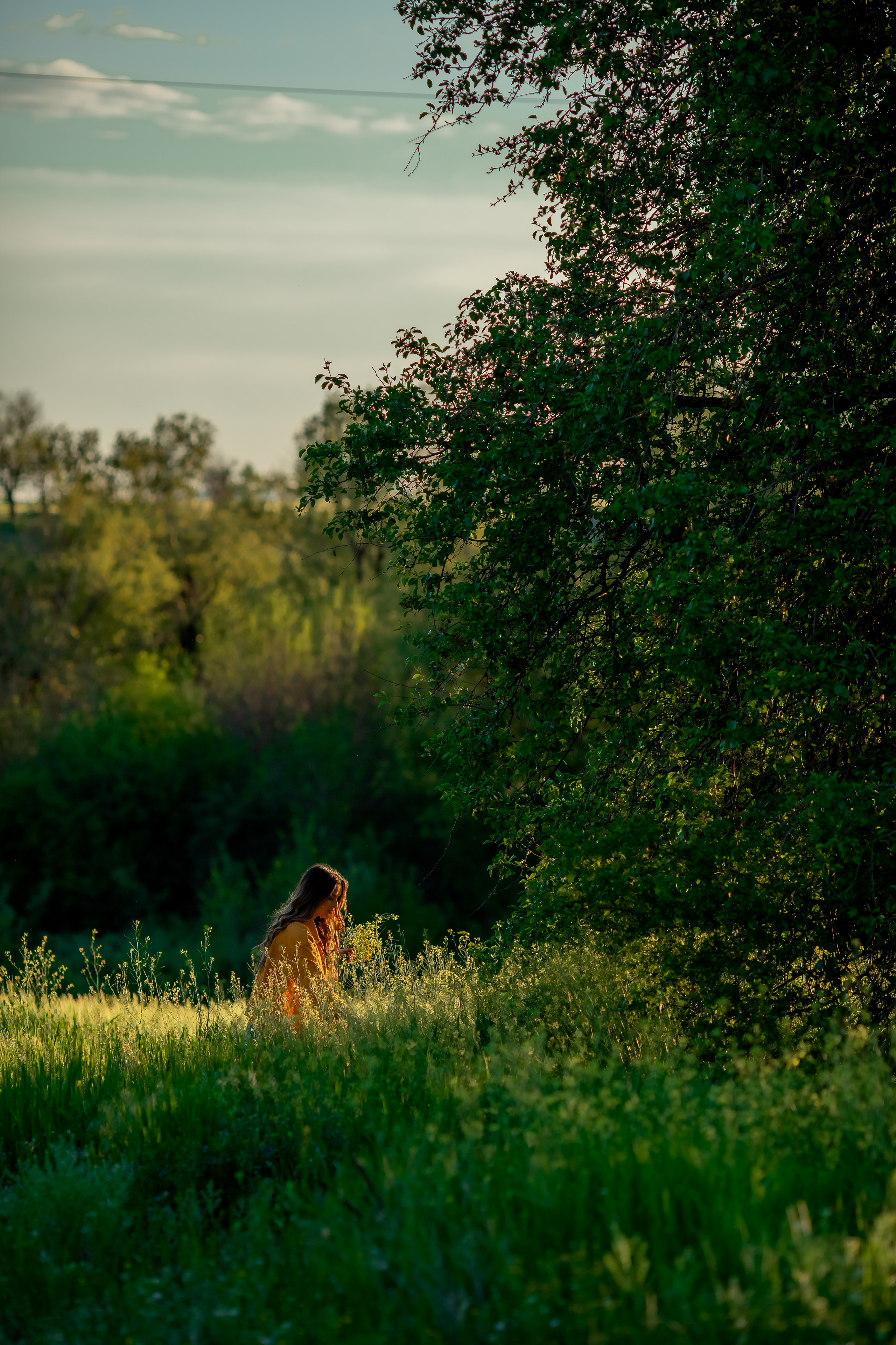 Фотосесия в полето. Фотограф Ирина Йотова