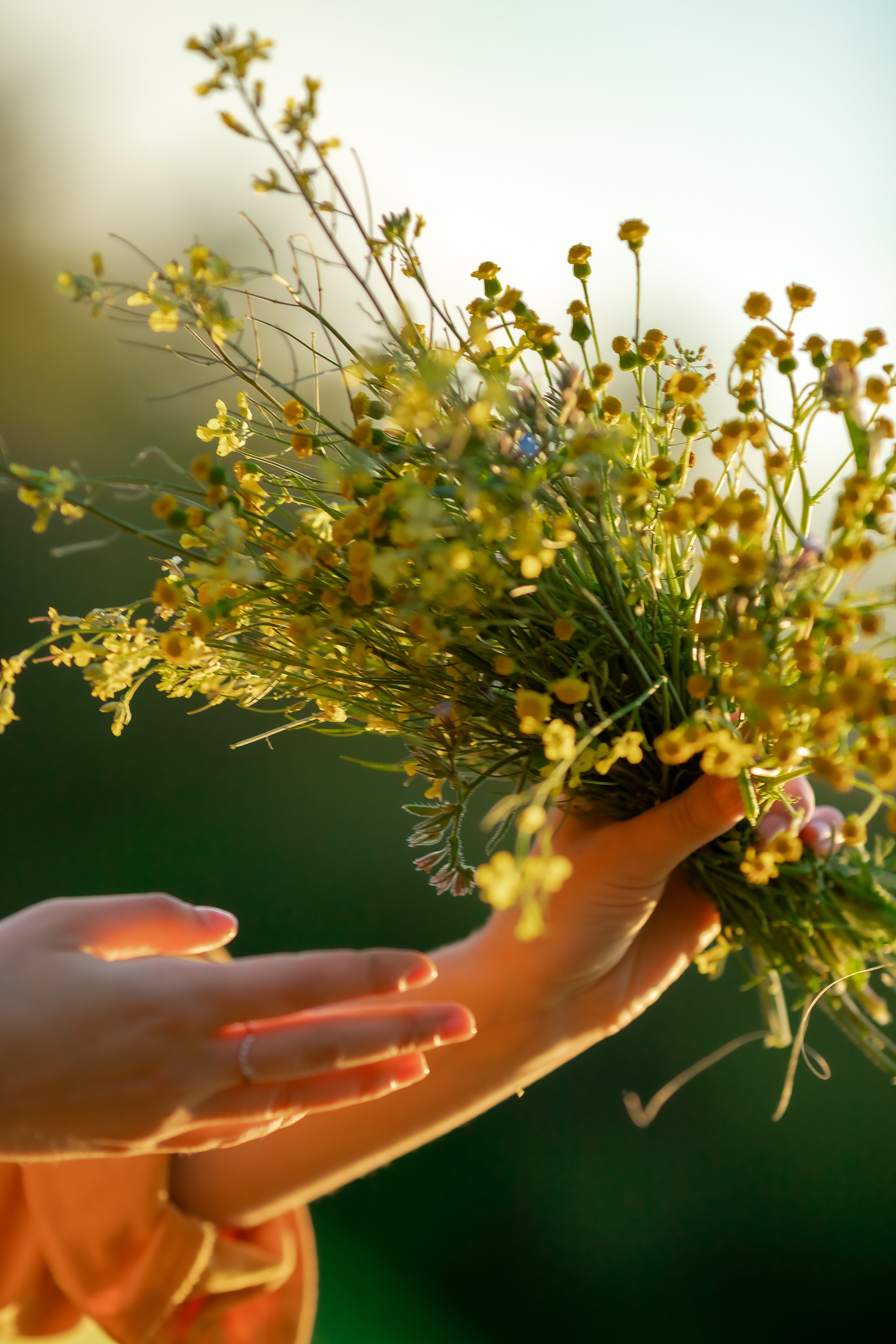 Фотосесия в полето. Фотограф Ирина Йотова