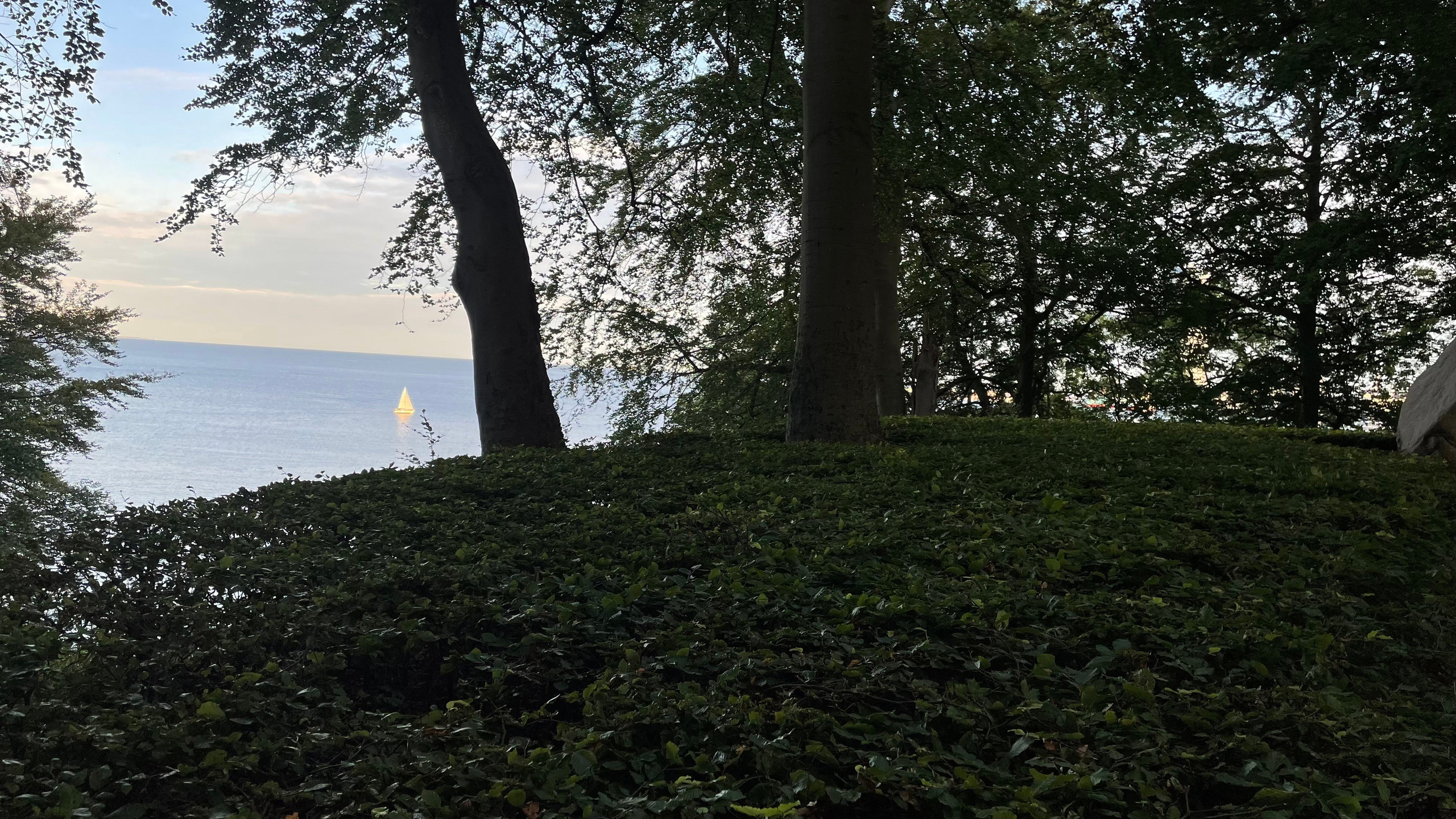 Sommer. Fotograf Aarhus | Portrætfoto Århus | Flotte billeder