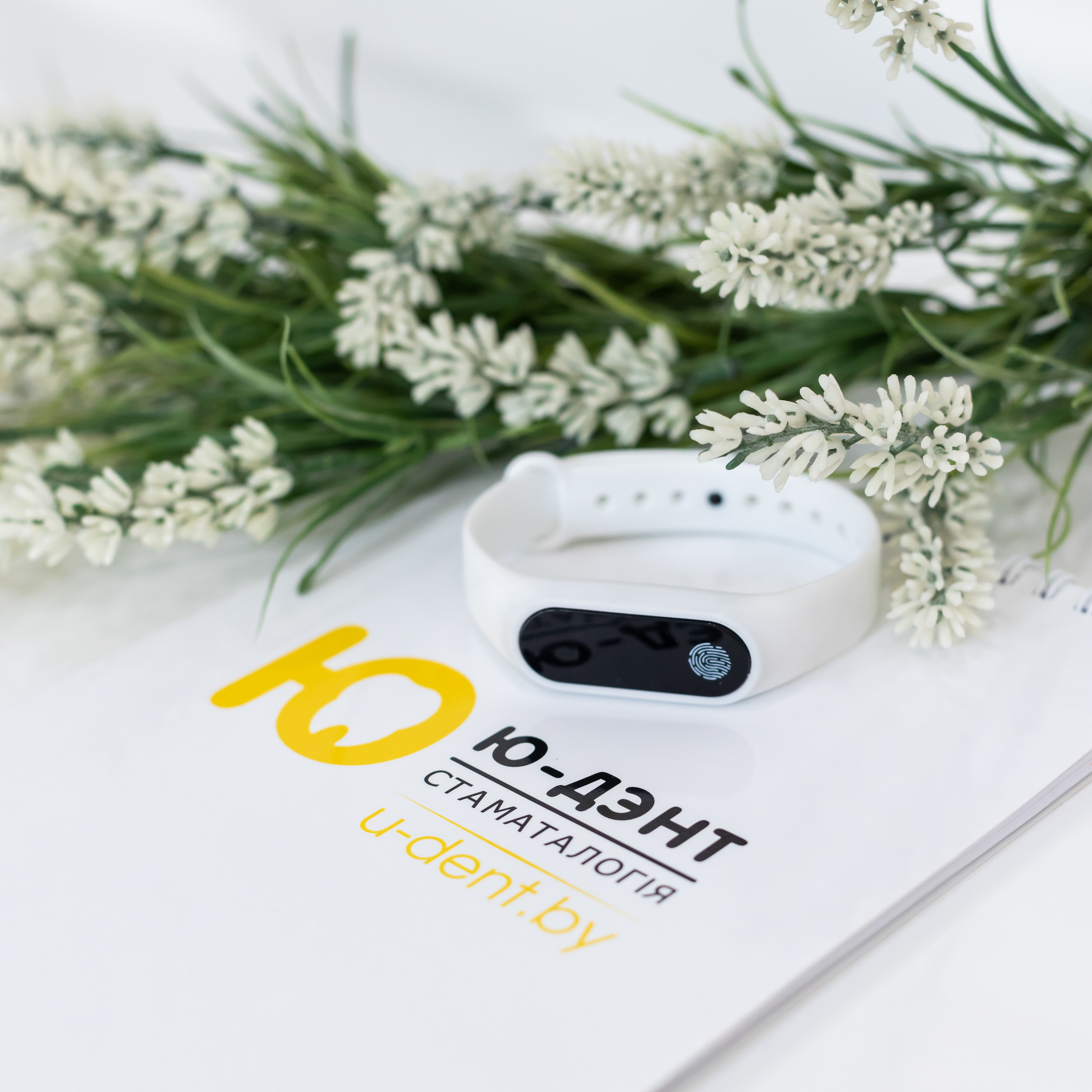 Фотограф для бизнеса в Израиле. Бизнес фотосессии