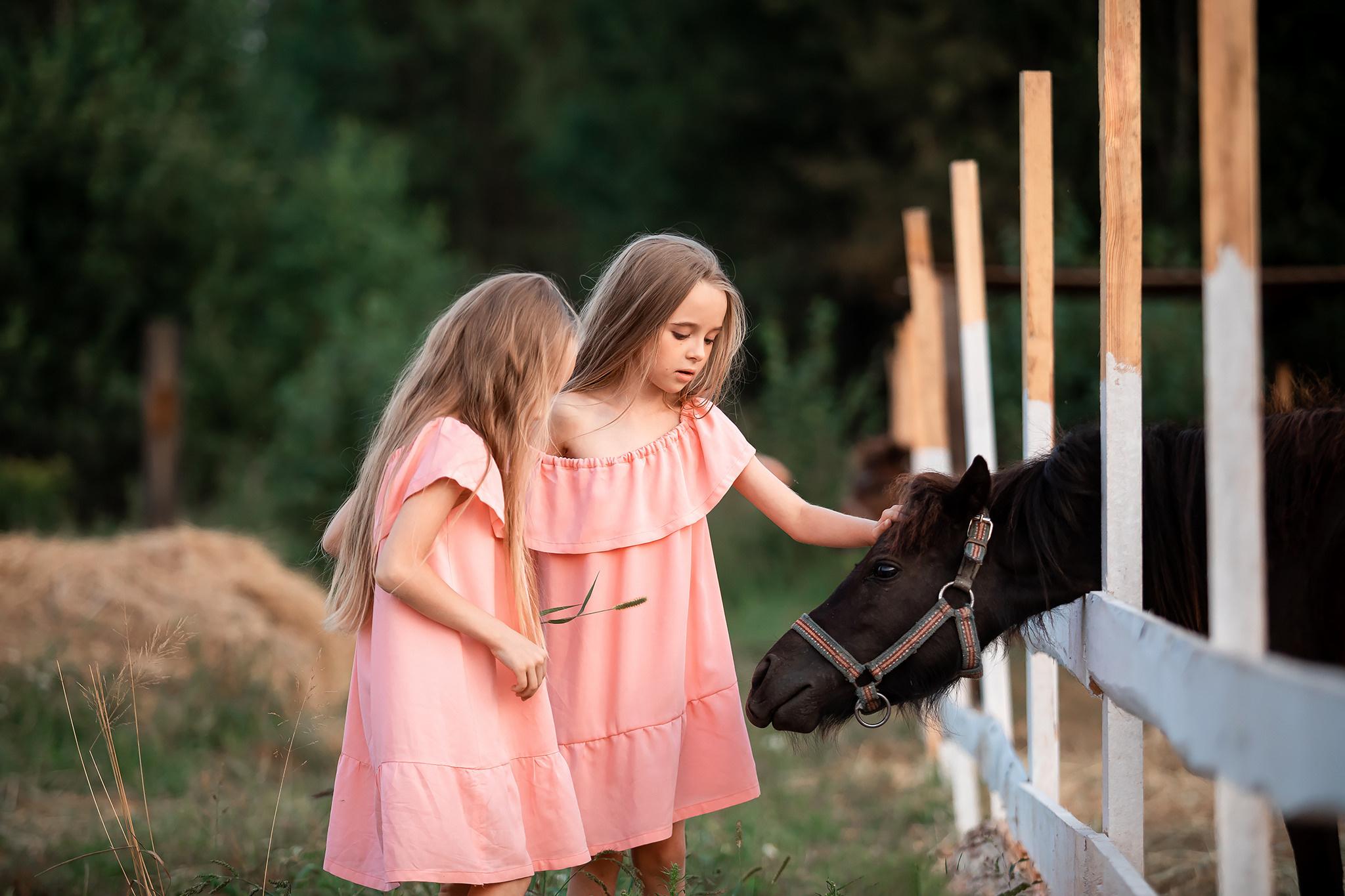Children's photo shoots in Israel. Children's photographer in Haifa