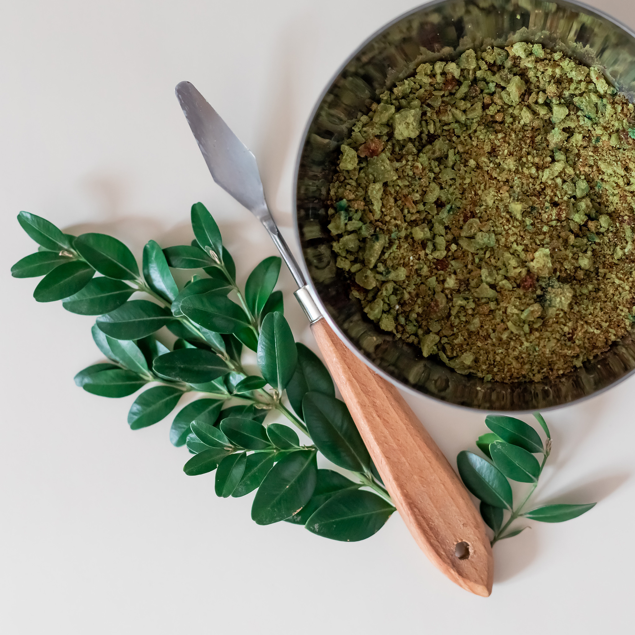 Фотограф для блогеров и экспертов в Израиле