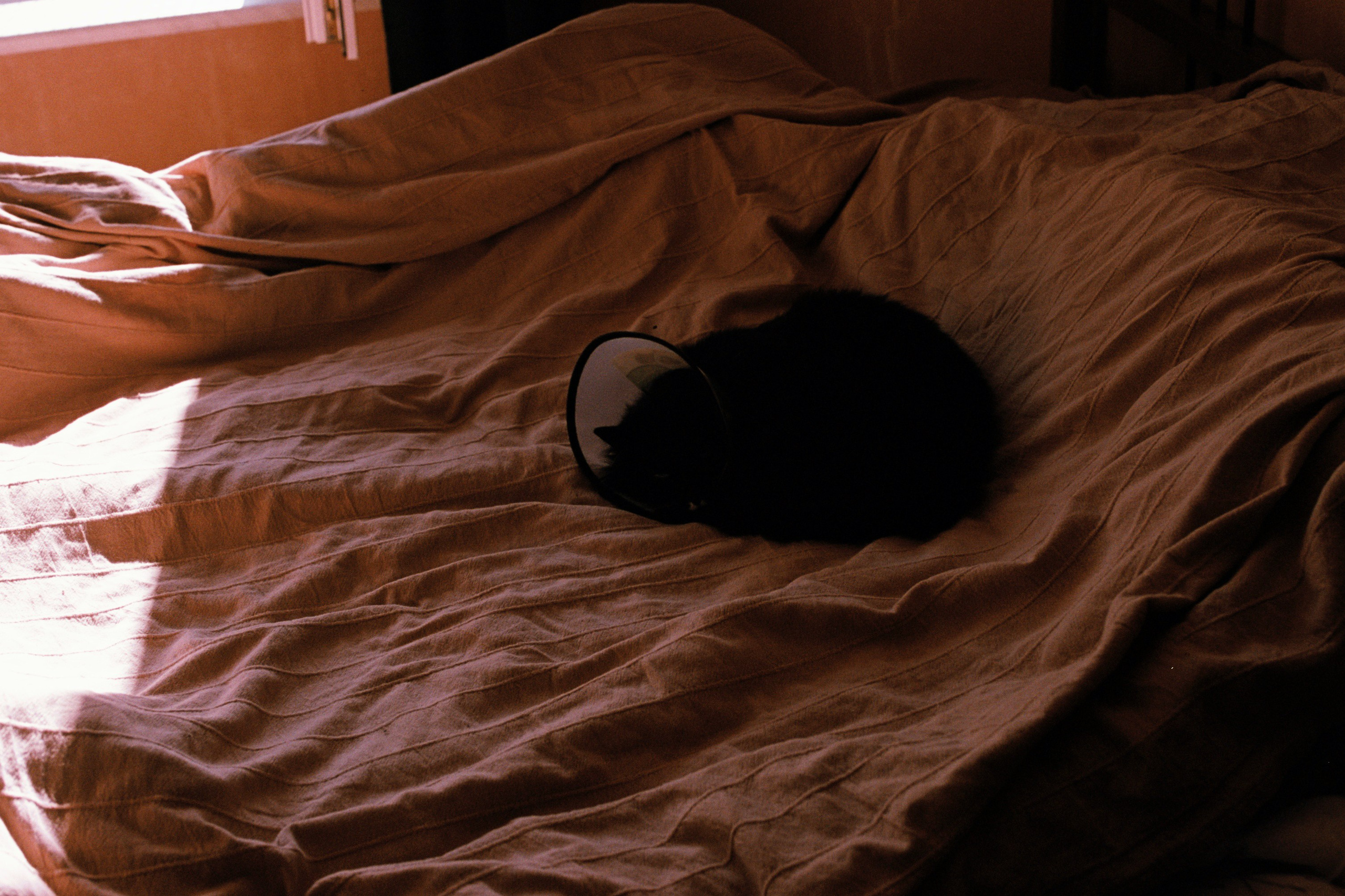 Saint-Petersburg (2020-2023)_2. Elena Zykova film photographer in London