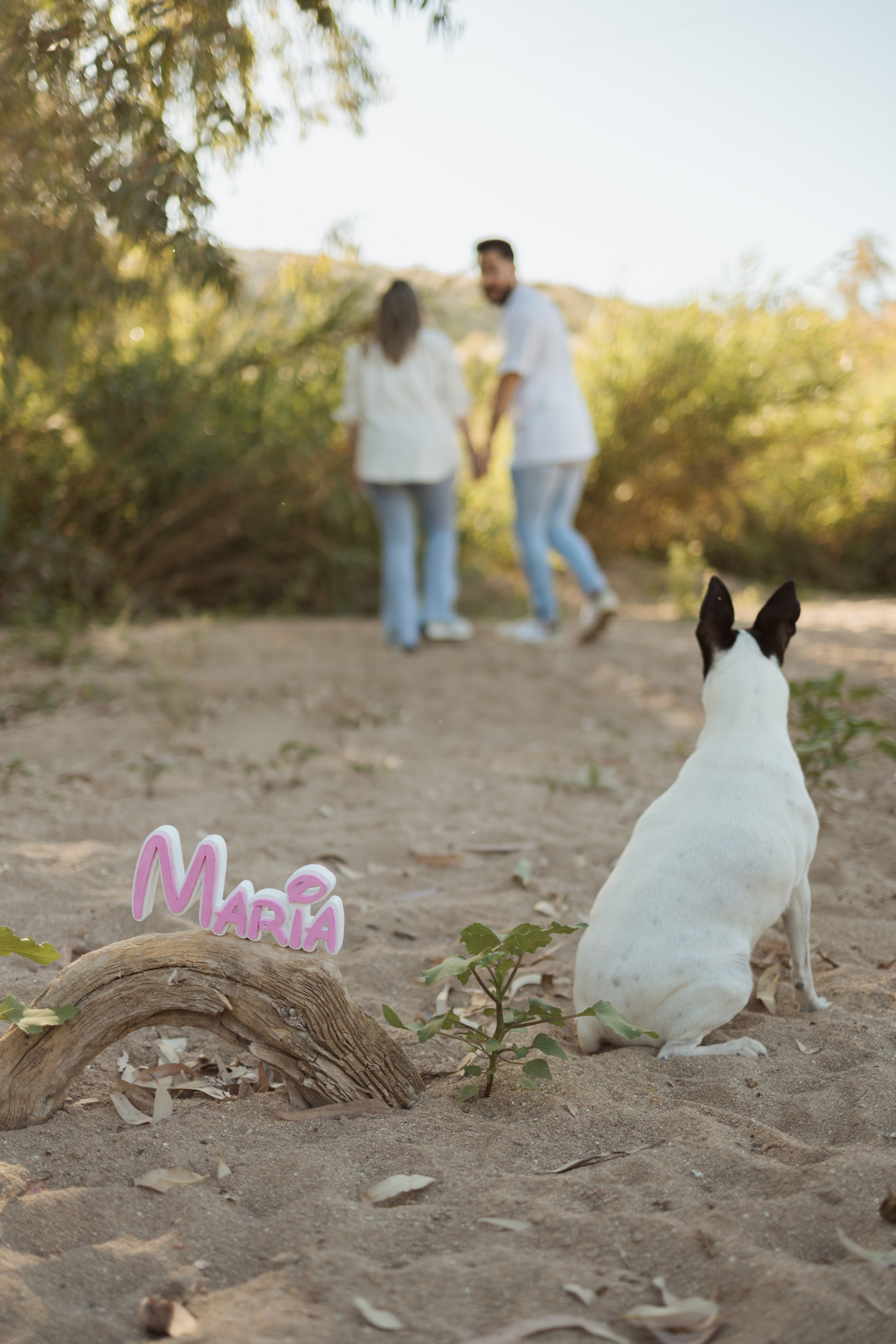Una espera llena de amor. Sonialibelulafotografia