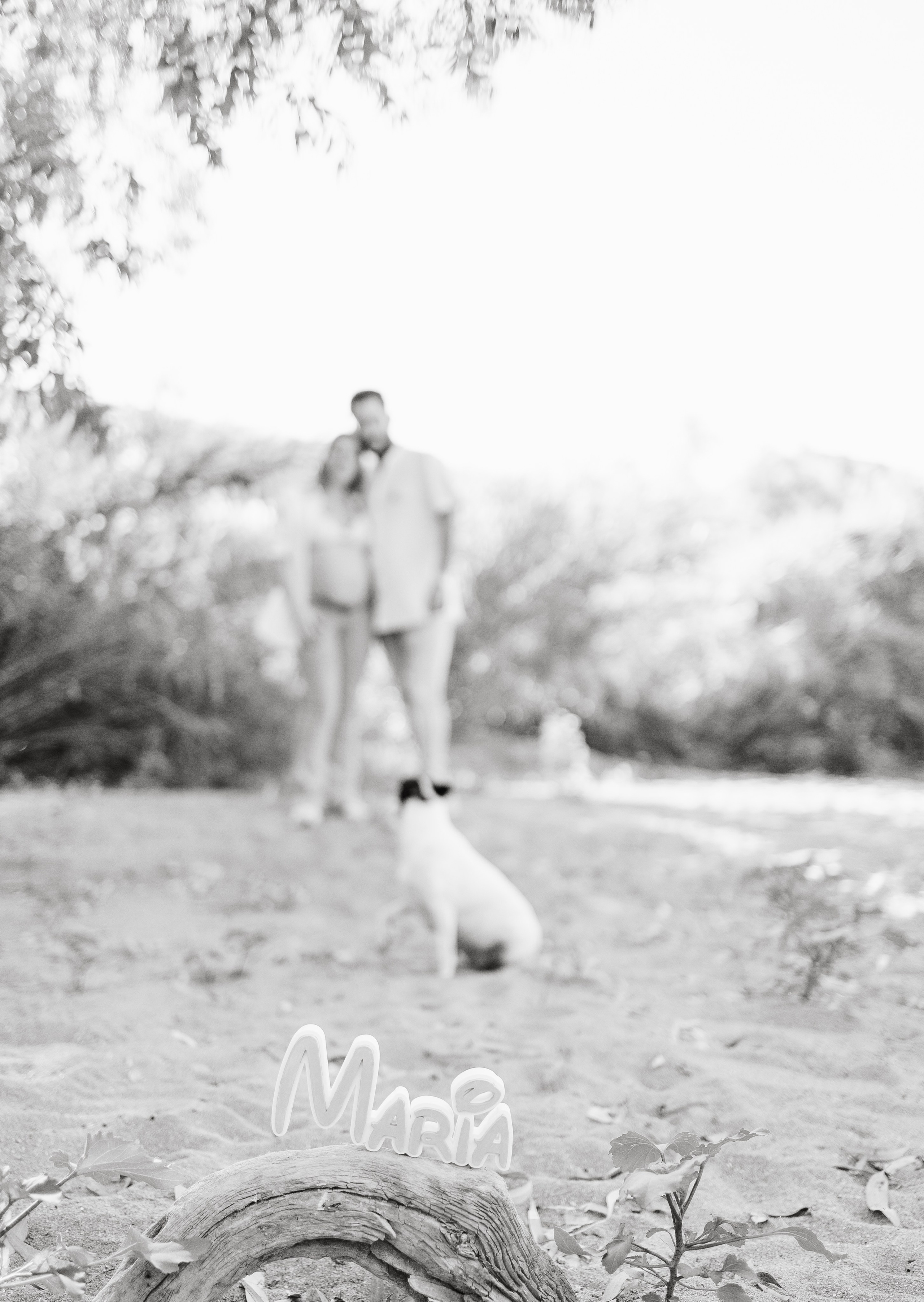 Una espera llena de amor. Sonialibelulafotografia