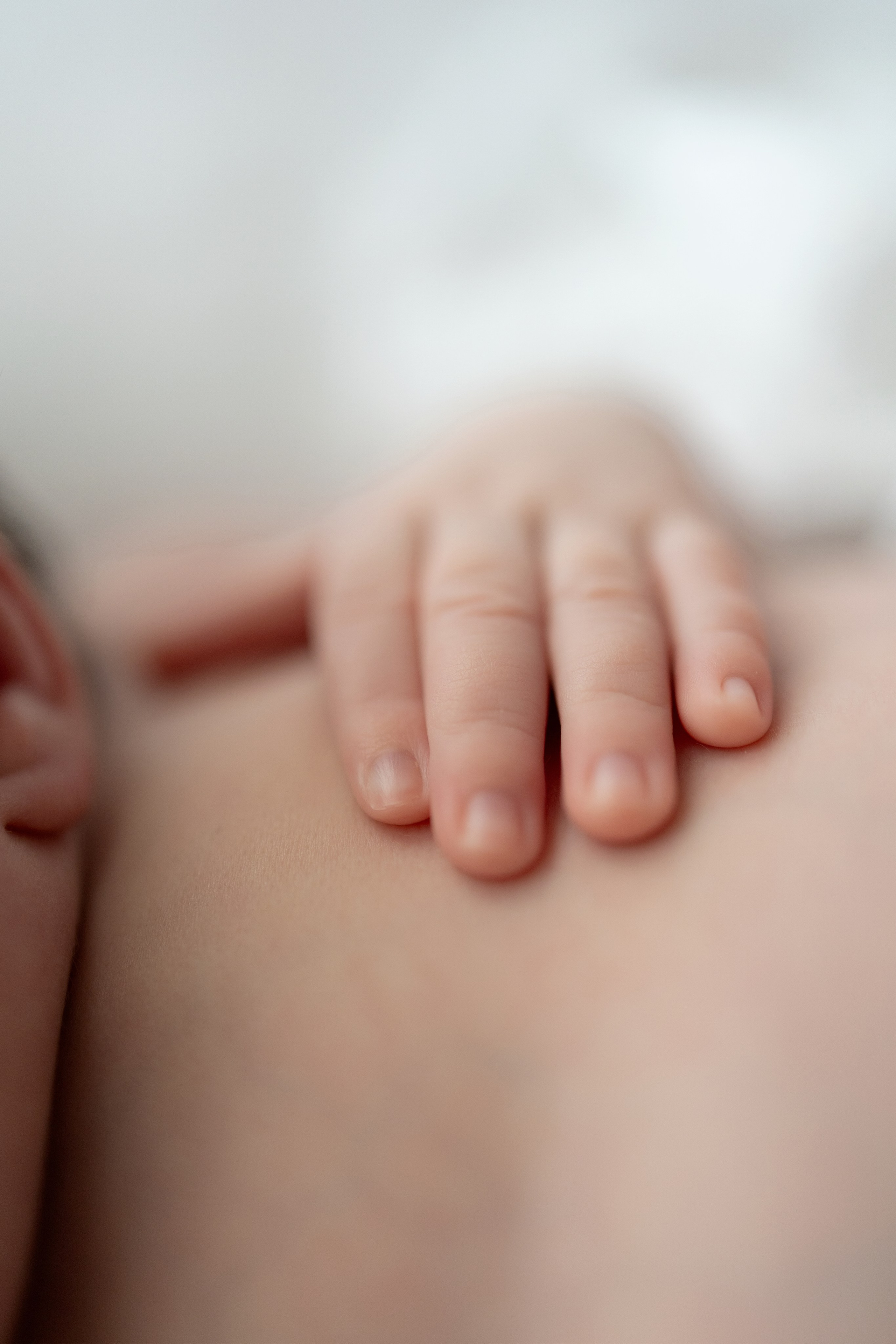 Maira, por fin en casa. Sonialibelulafotografia