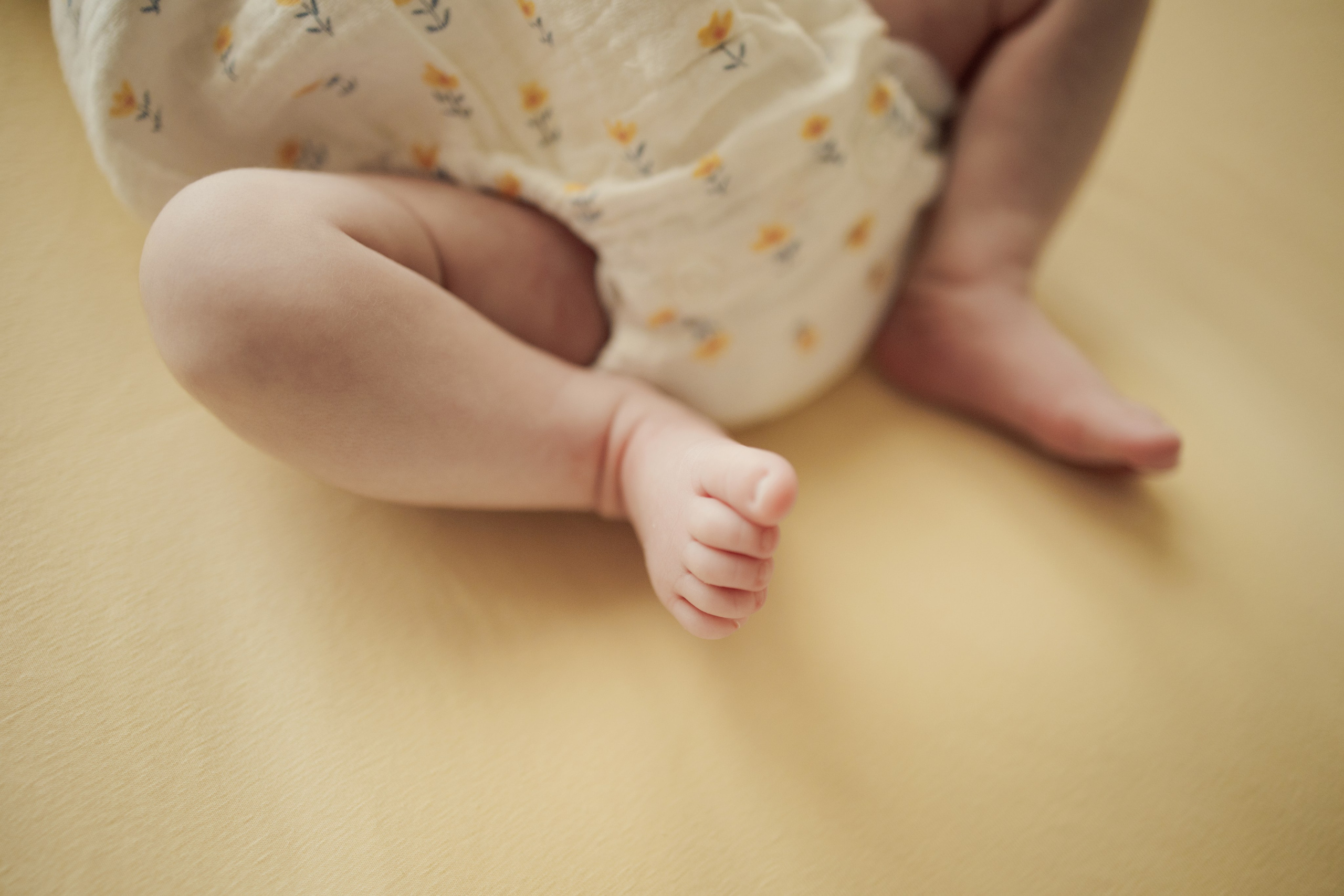 Maira, por fin en casa. Sonialibelulafotografia