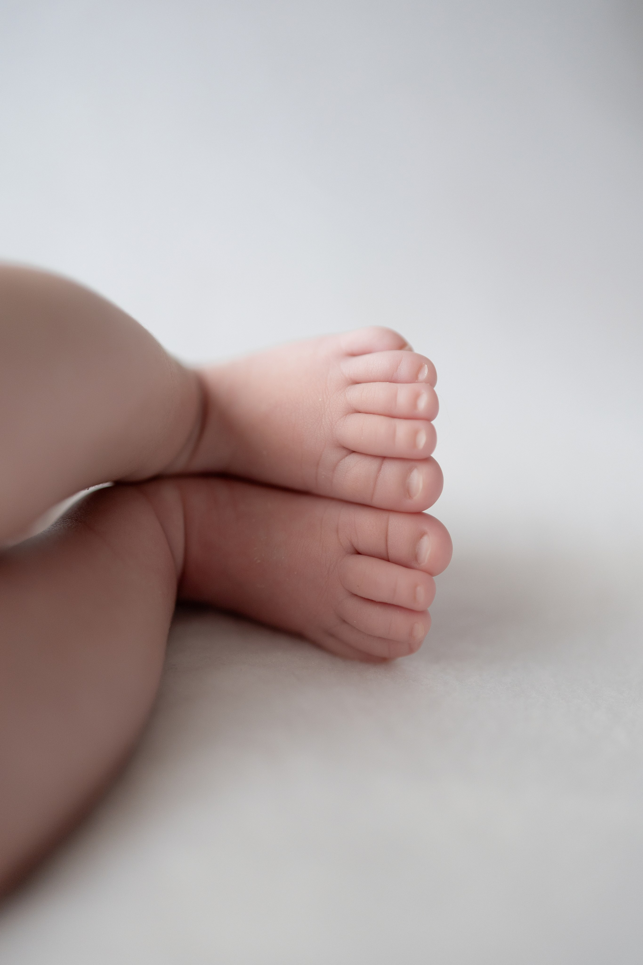 Maira, por fin en casa. Sonialibelulafotografia