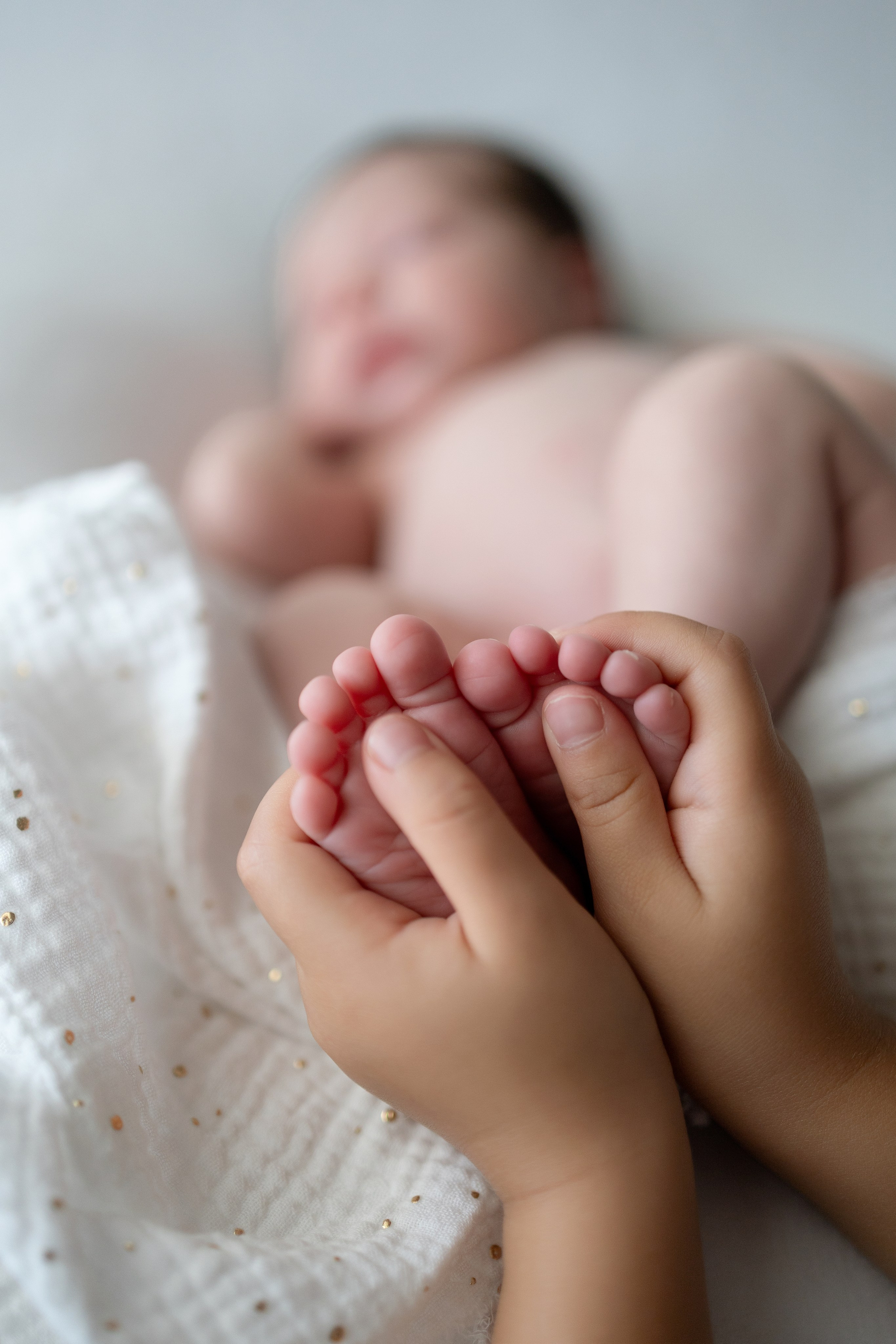 Maira, por fin en casa. Sonialibelulafotografia