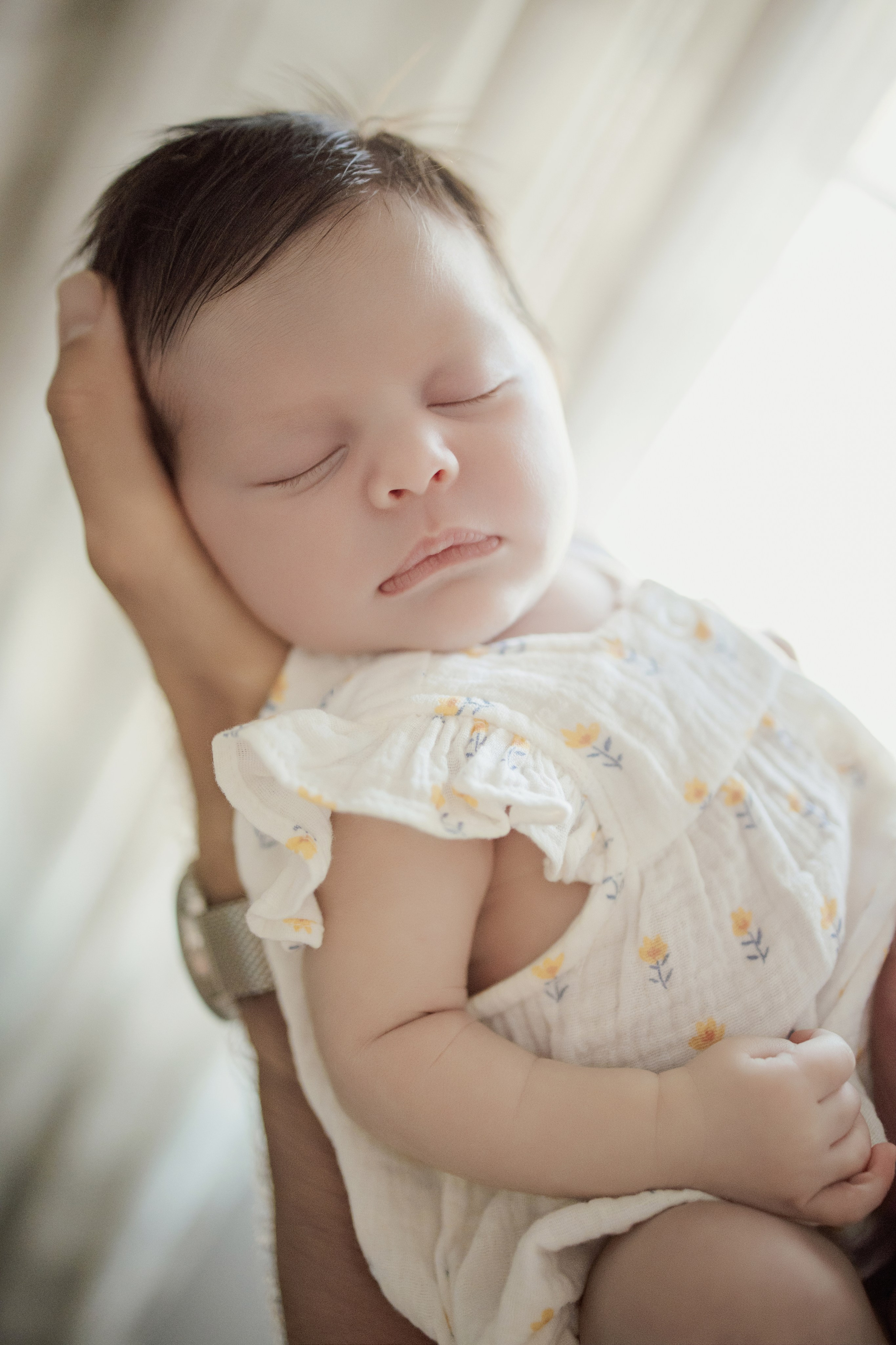 Maira, por fin en casa. Sonialibelulafotografia