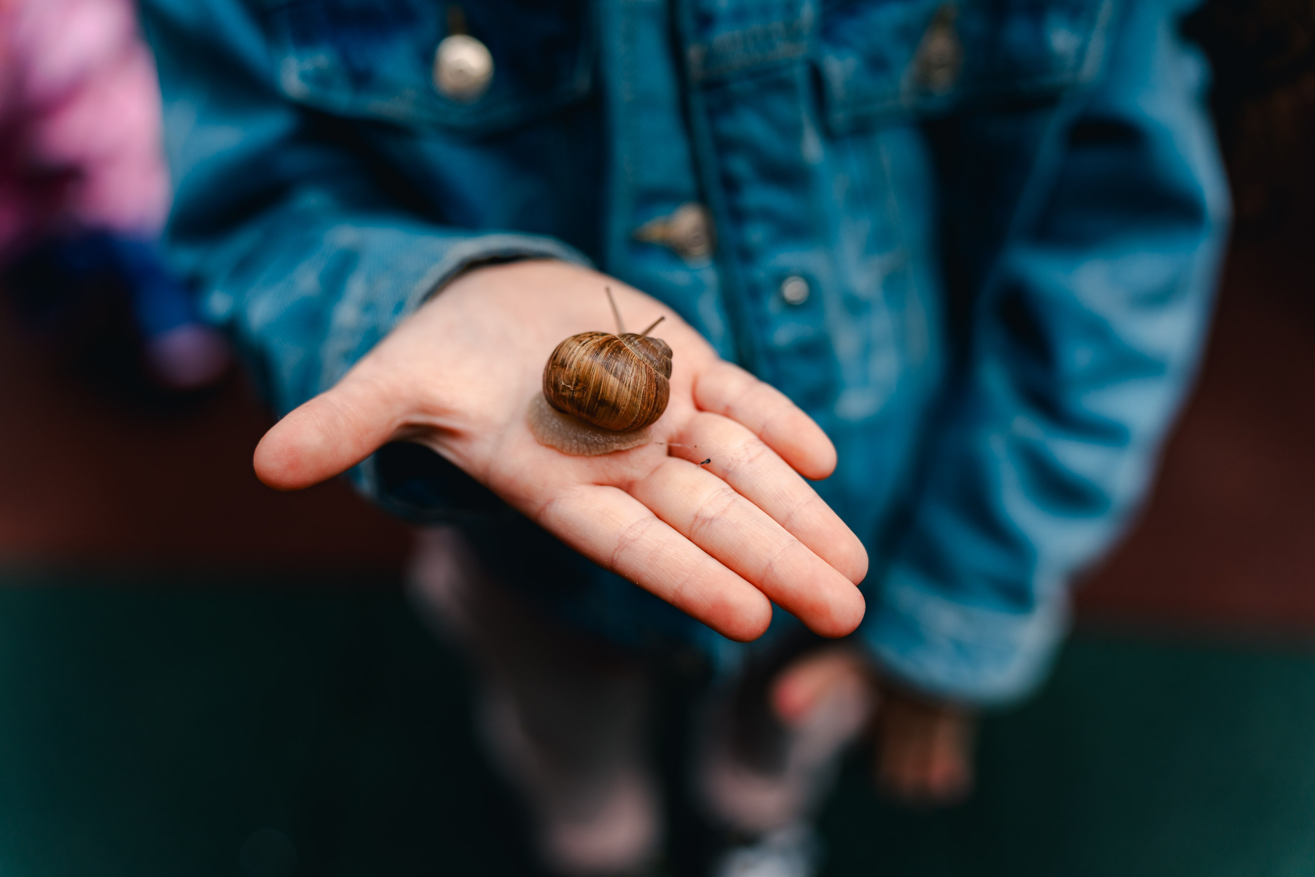 Miniterra Carusel. Liviu Andrei - Fotograf