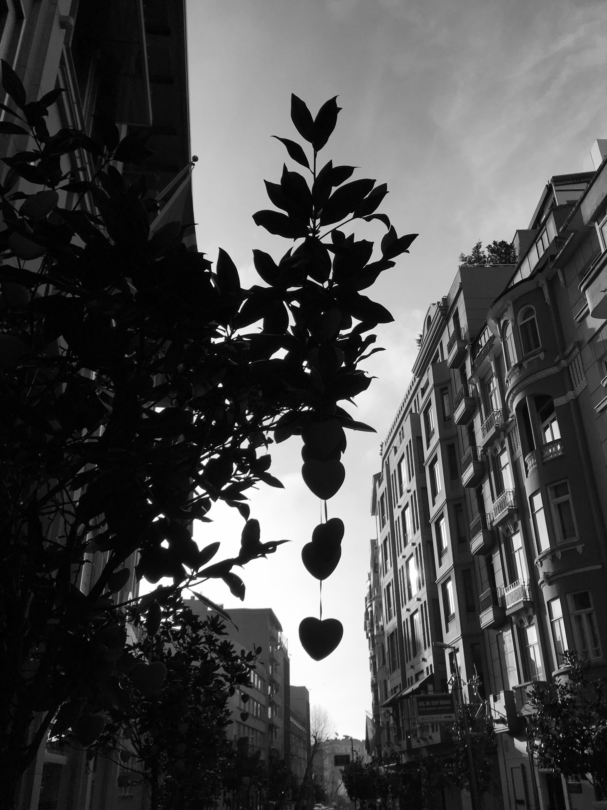 Istanbul. BNW Around Photography